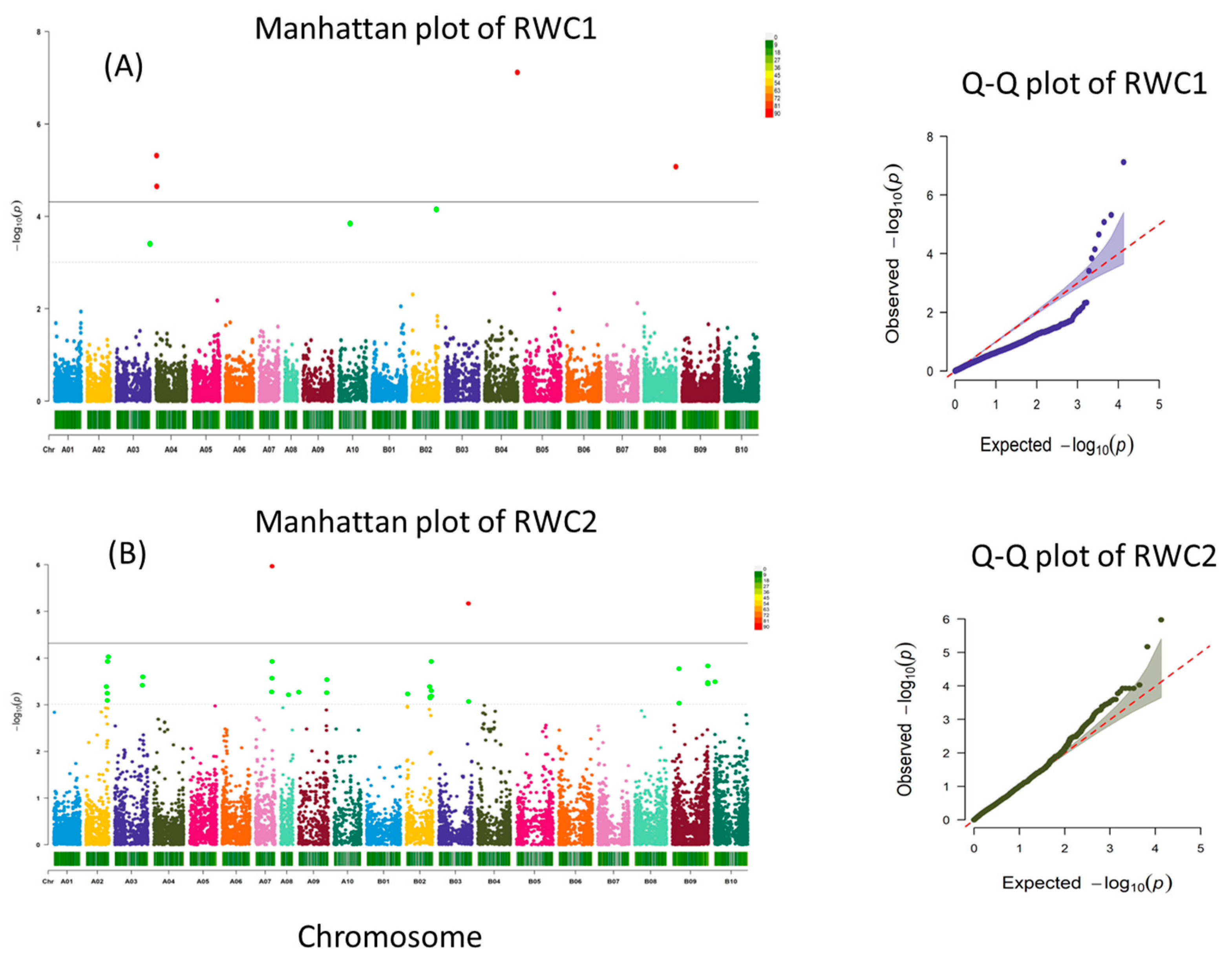 Genes 15 00868 g003a