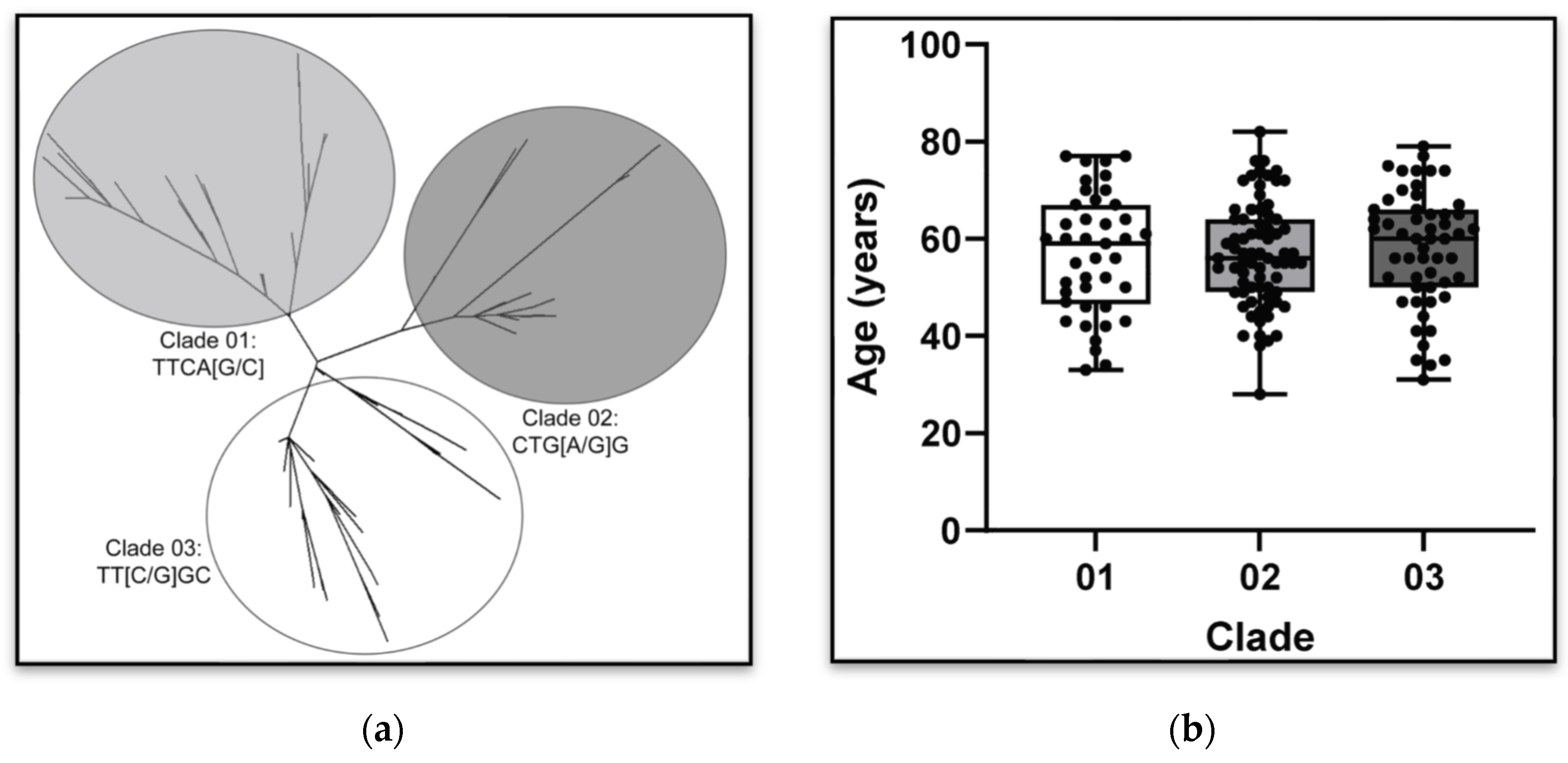 Genes 15 00878 g001 Genes 15 00878 g001