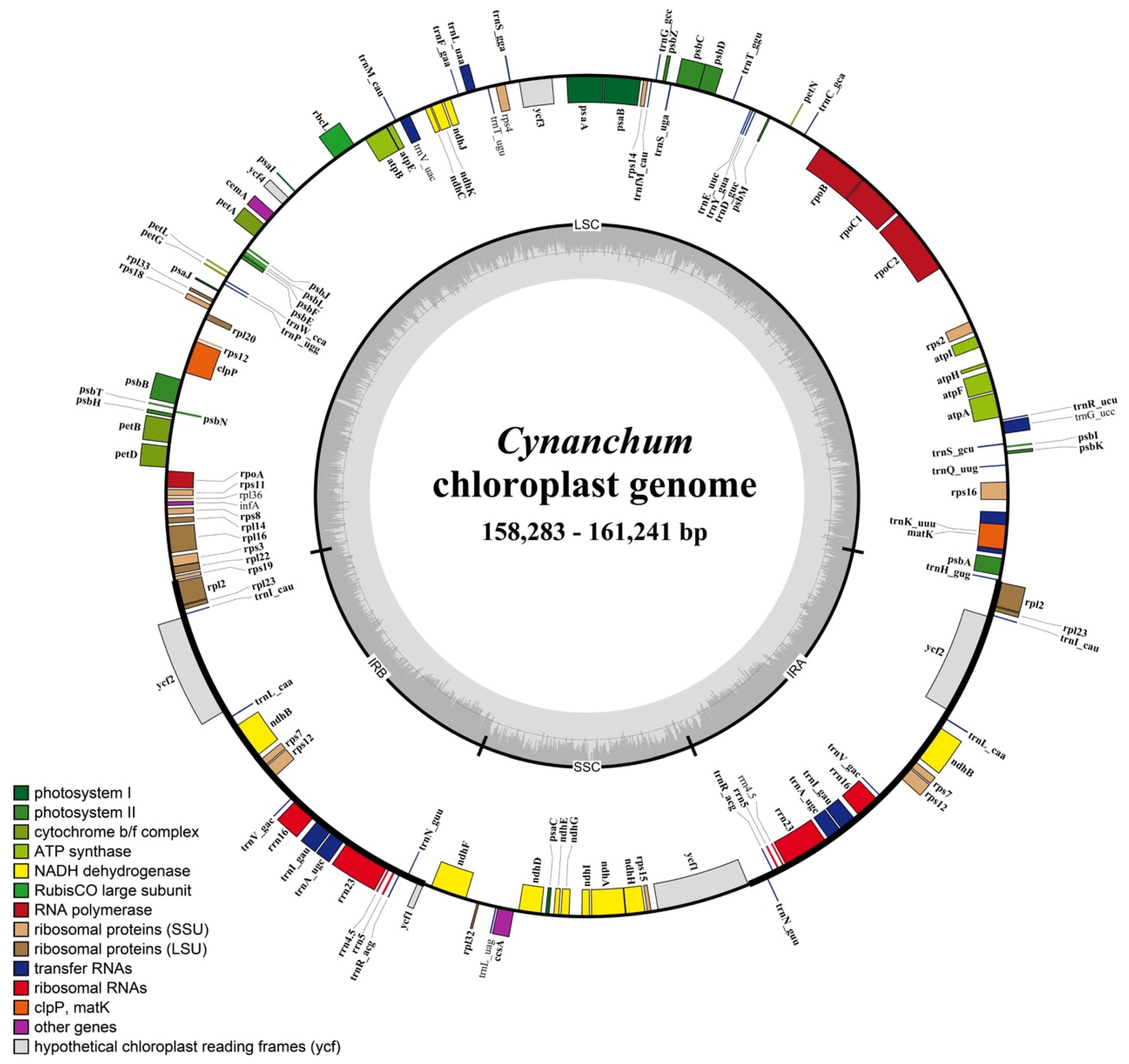 Genes 15 00884 g001 Genes 15 00884 g001