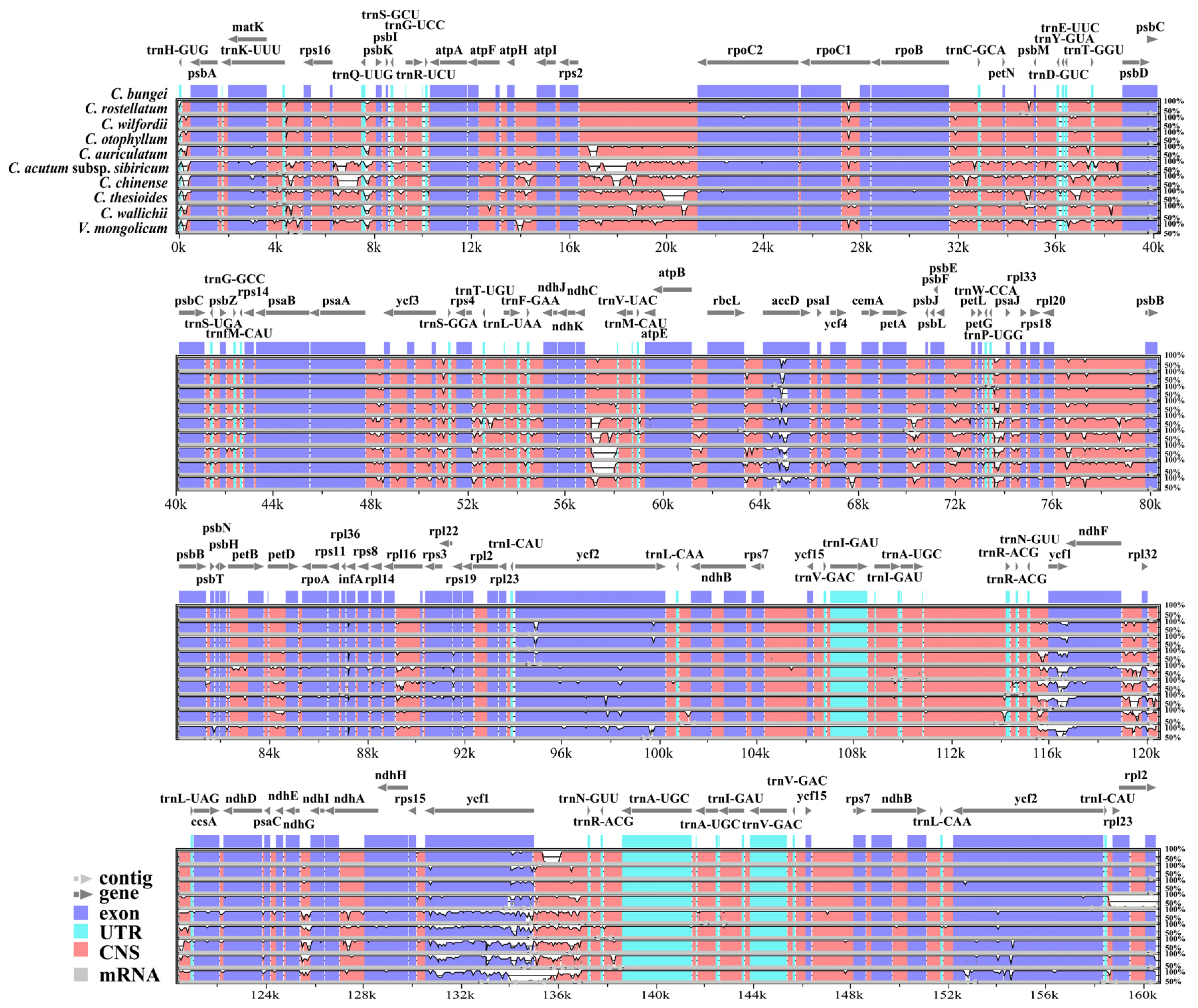 Genes 15 00884 g002 Genes 15 00884 g002