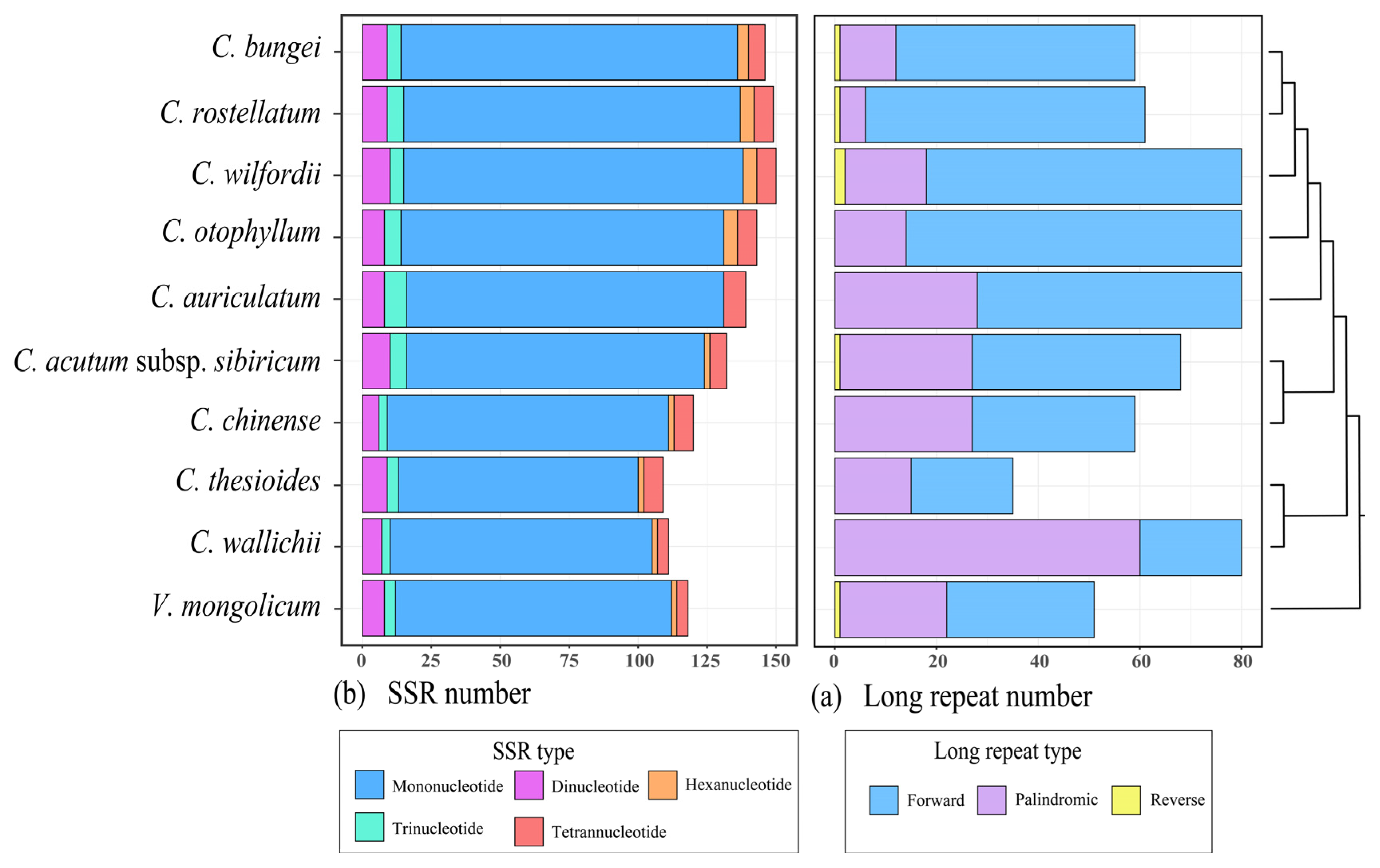 Genes 15 00884 g005 Genes 15 00884 g005
