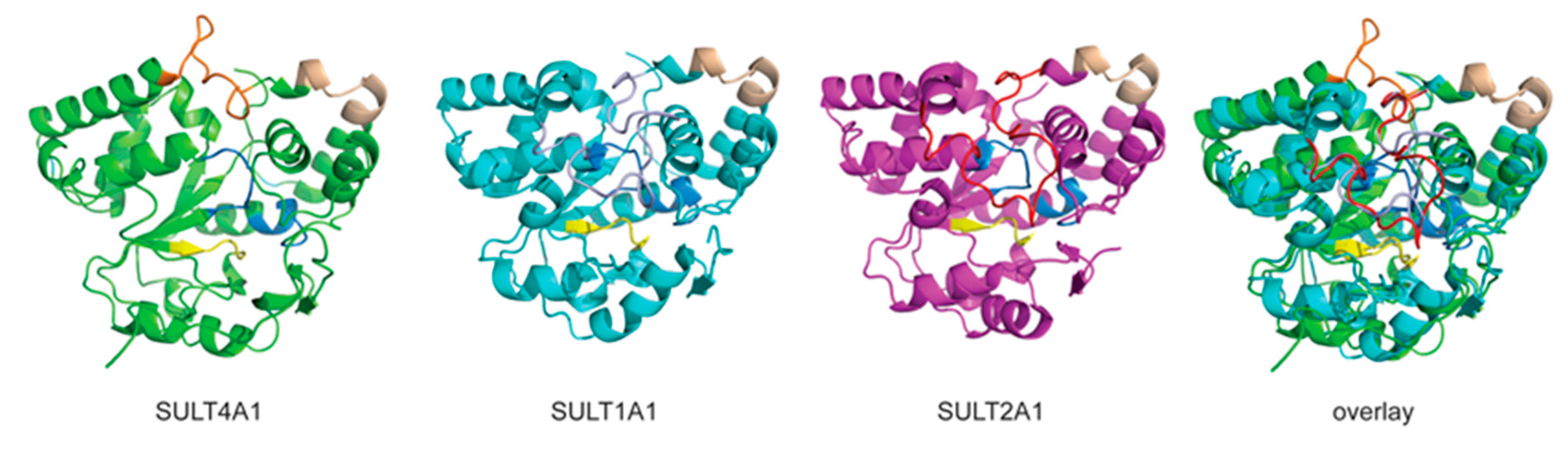 Genes 15 00914 g005 Genes 15 00914 g005