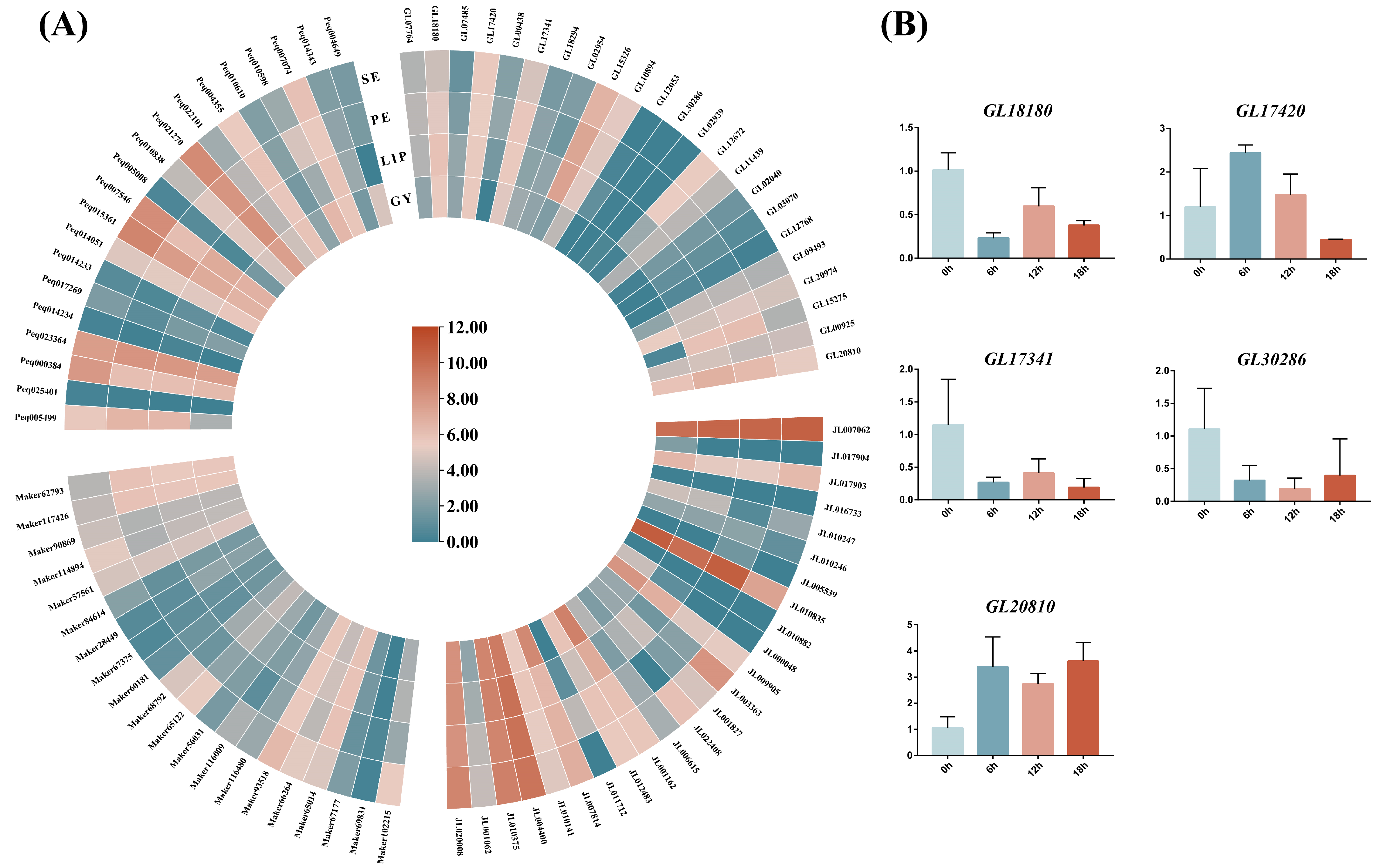 Genes 15 00915 g008