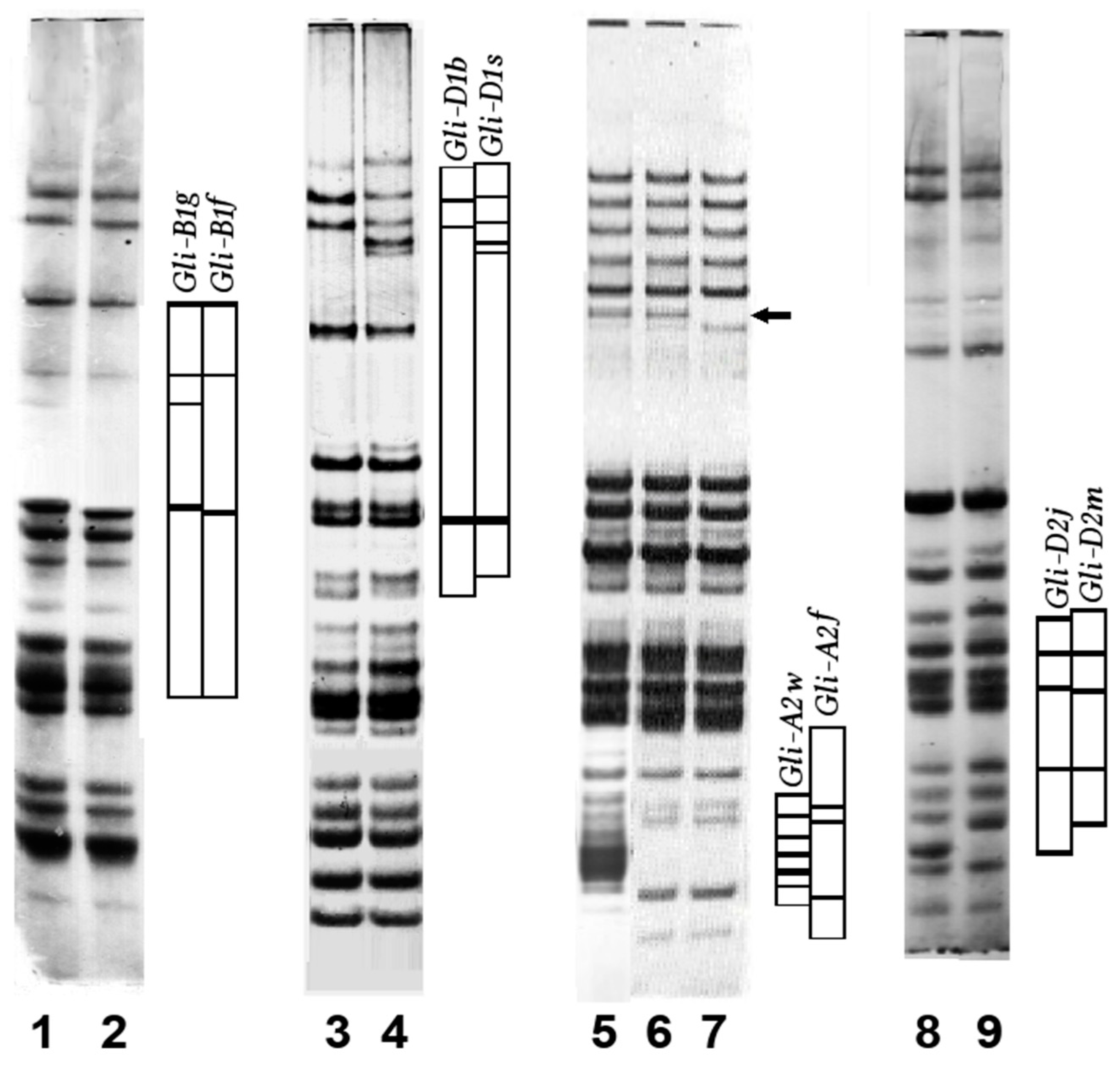 Genes 15 00927 g003 Genes 15 00927 g003