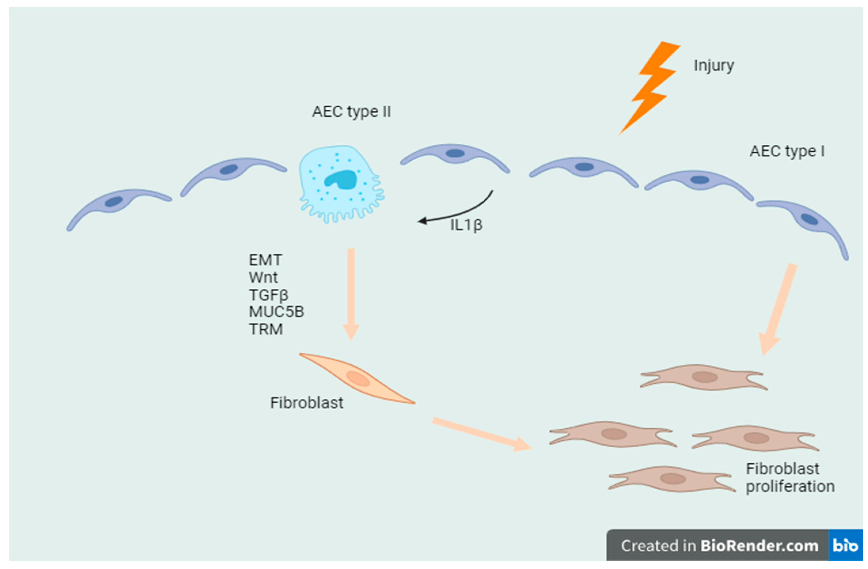Genes 15 00934 g001 Genes 15 00934 g001