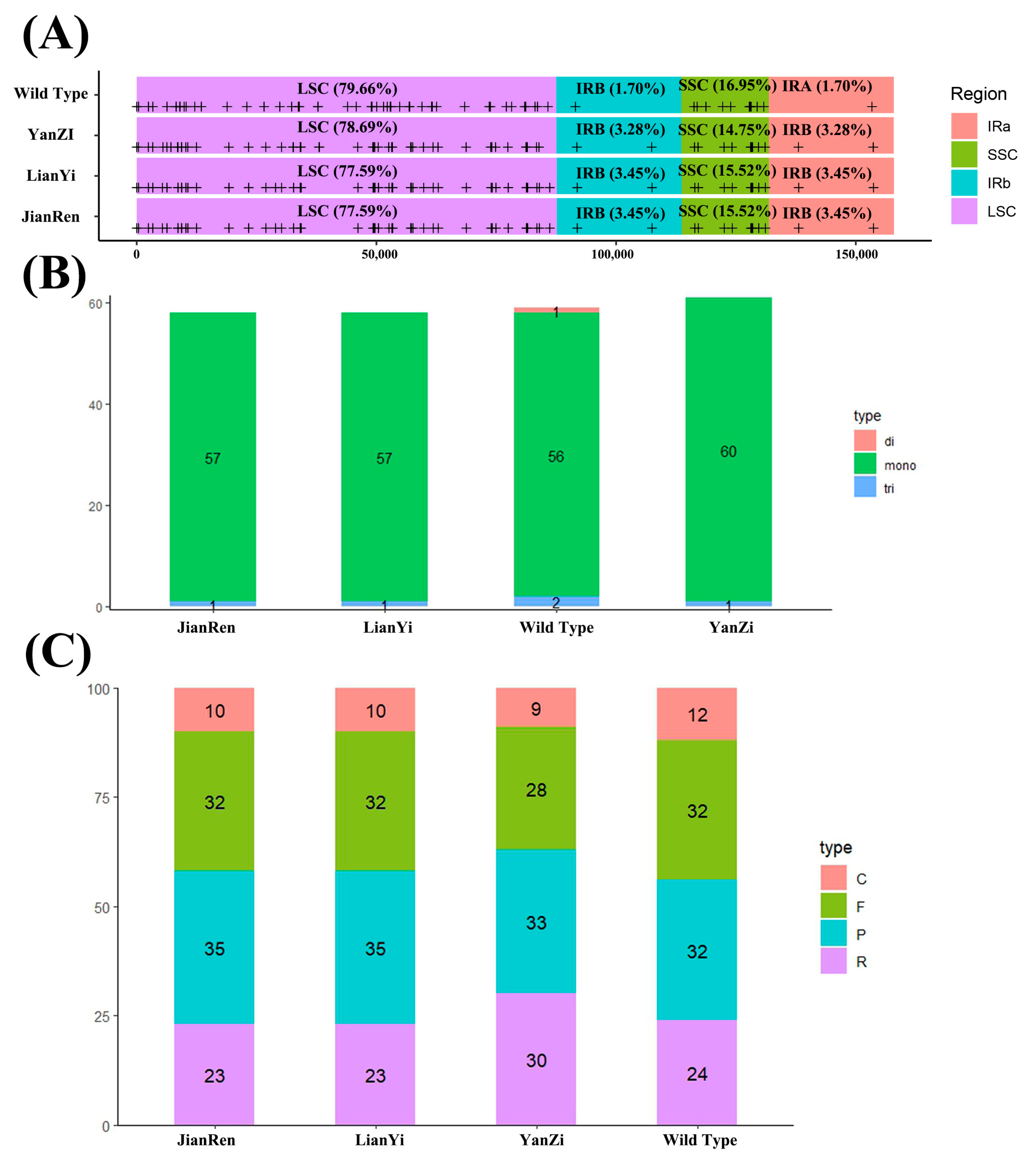 Genes 15 00940 g003