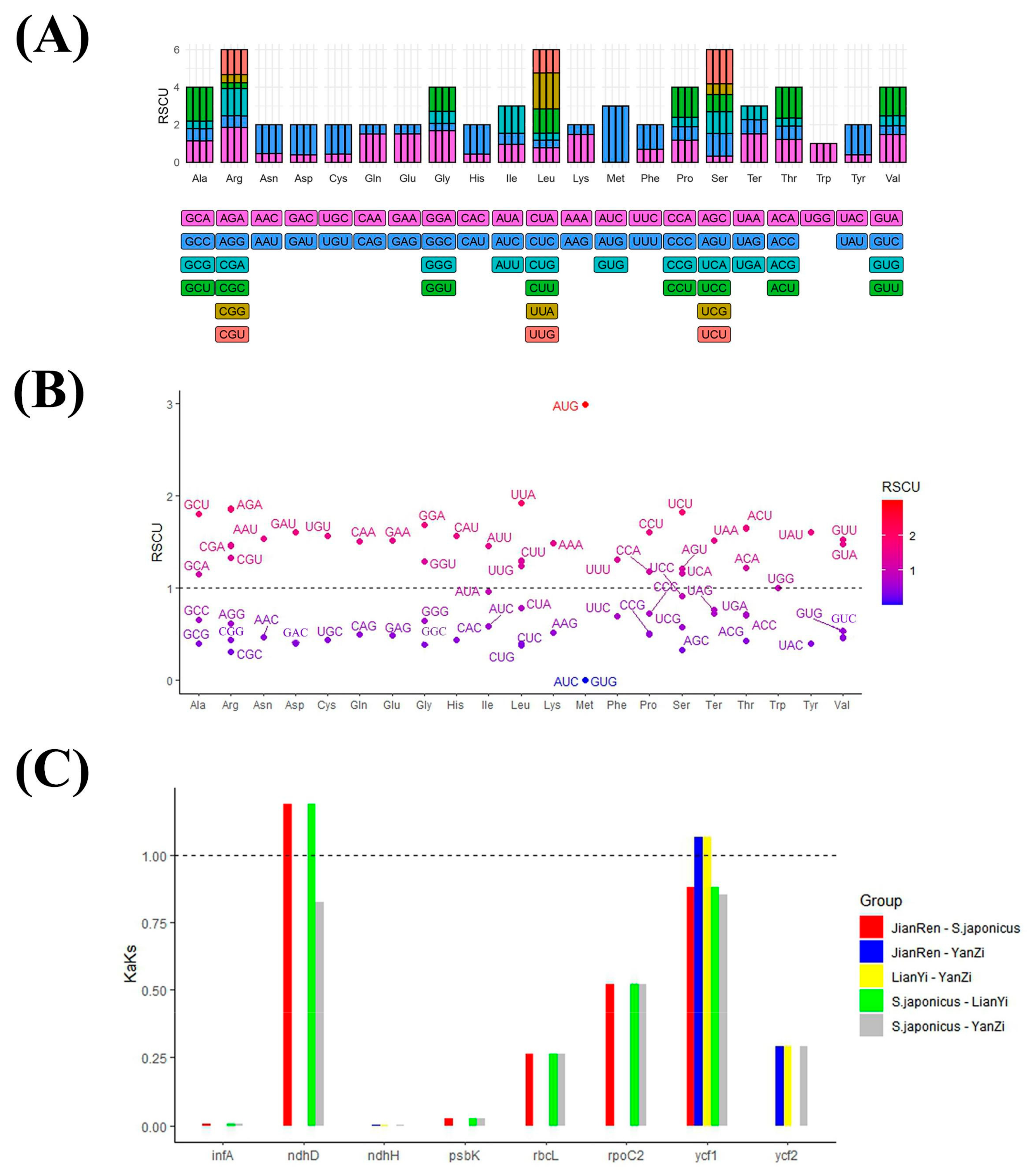 Genes 15 00940 g004