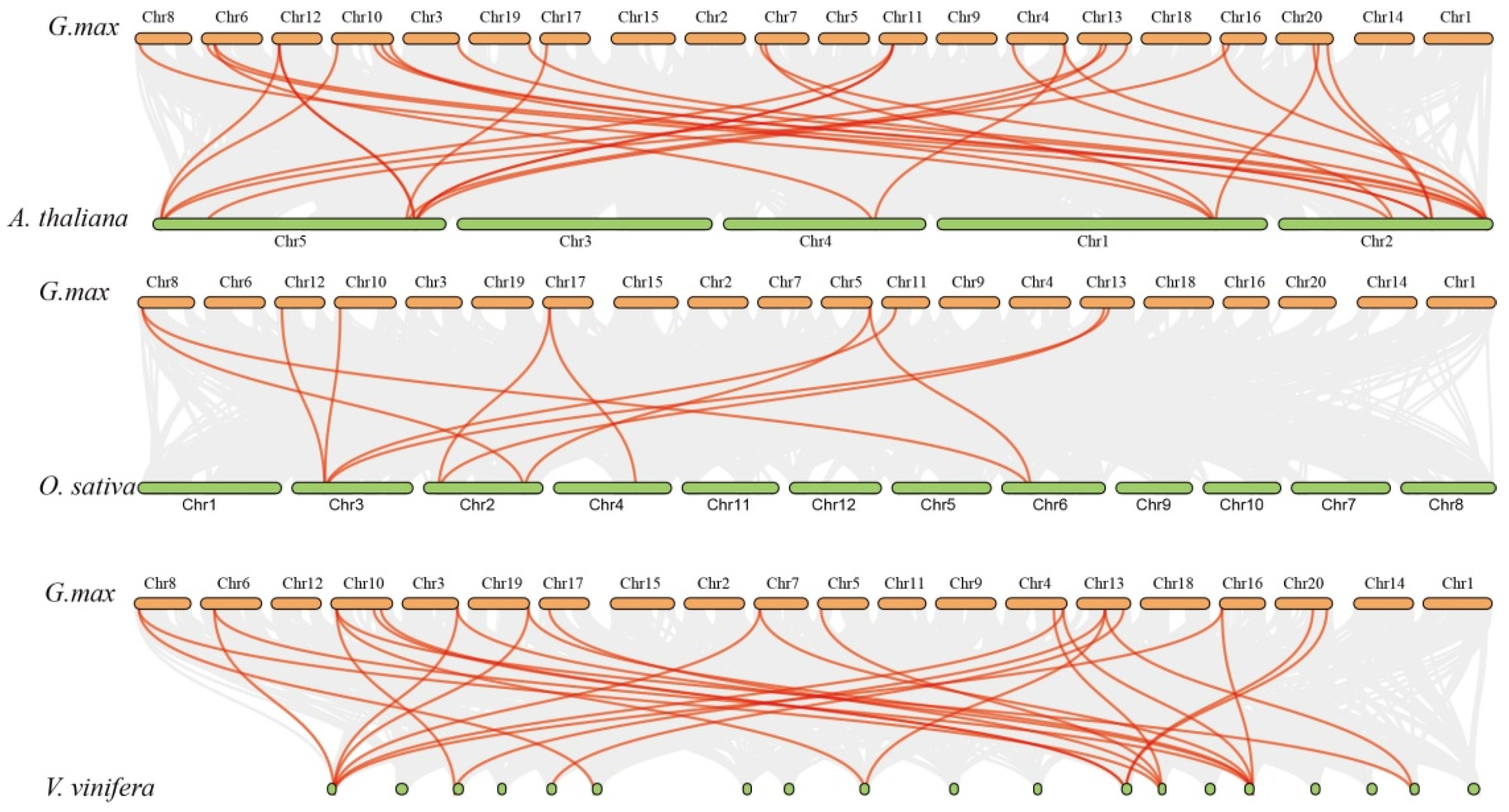Genes 15 00941 g005