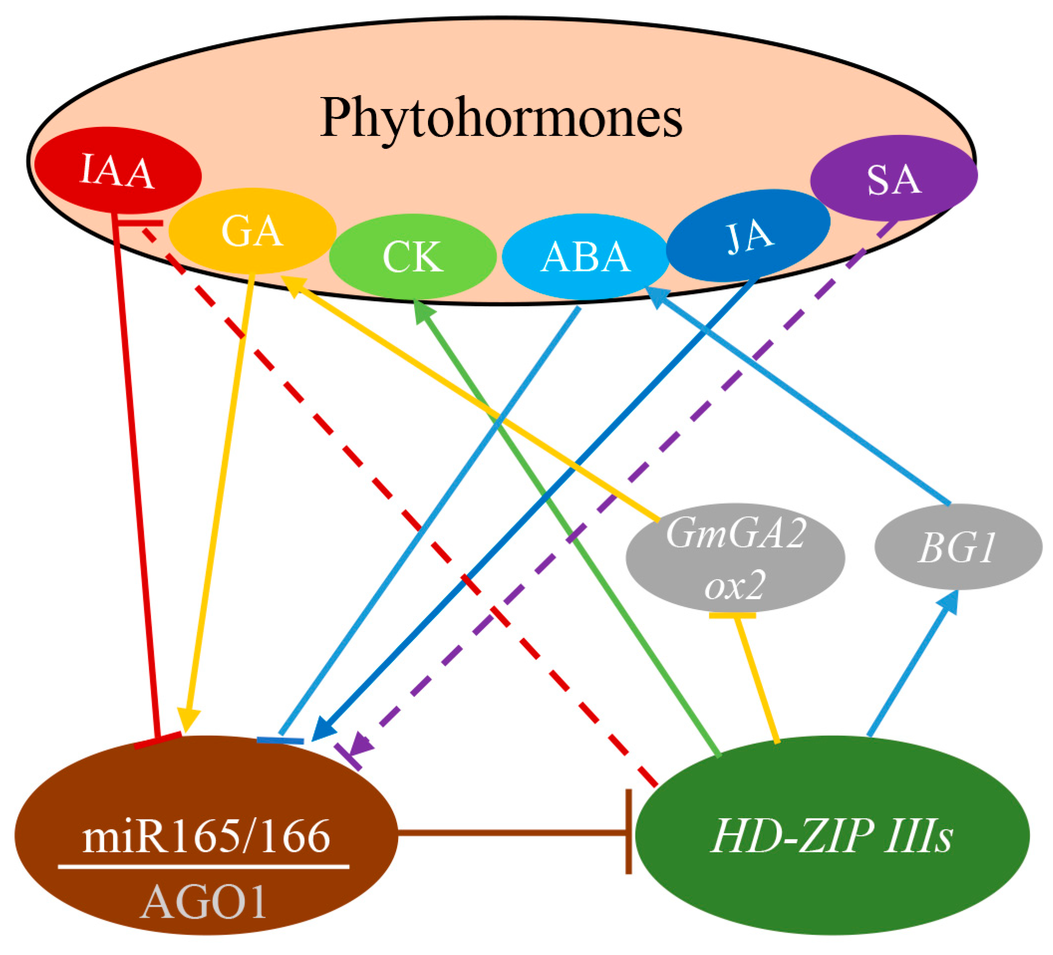 Genes 15 00944 g004