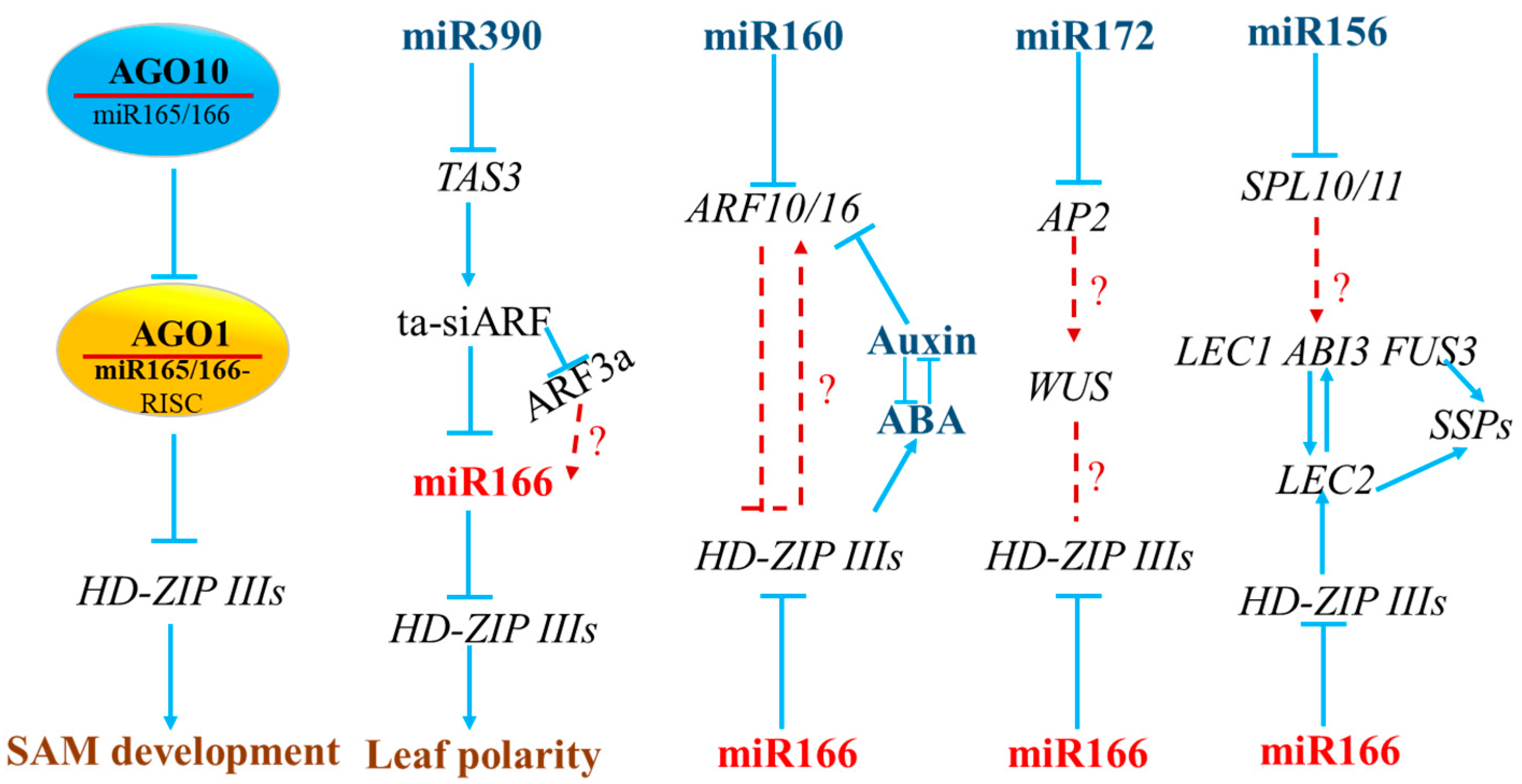 Genes 15 00944 g006