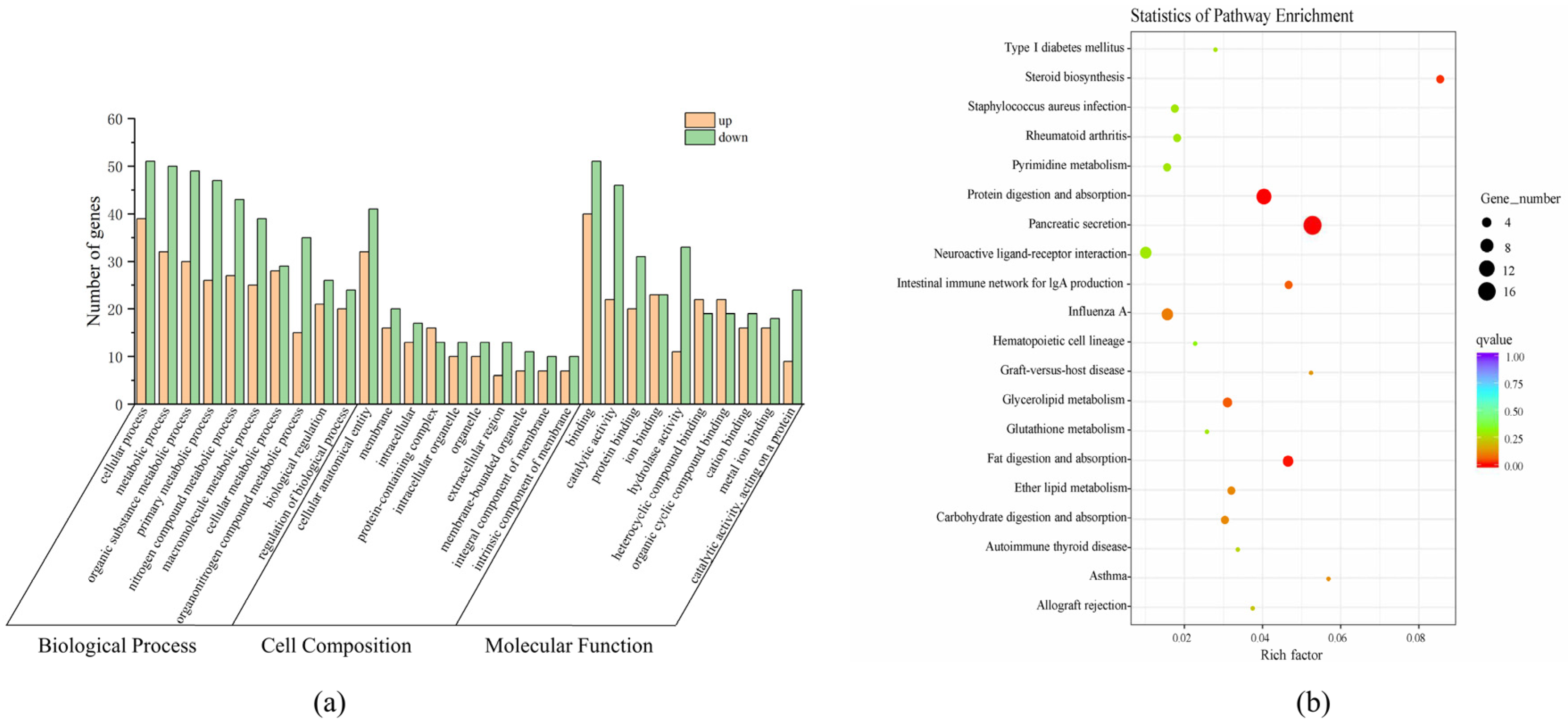 Genes 15 00949 g004