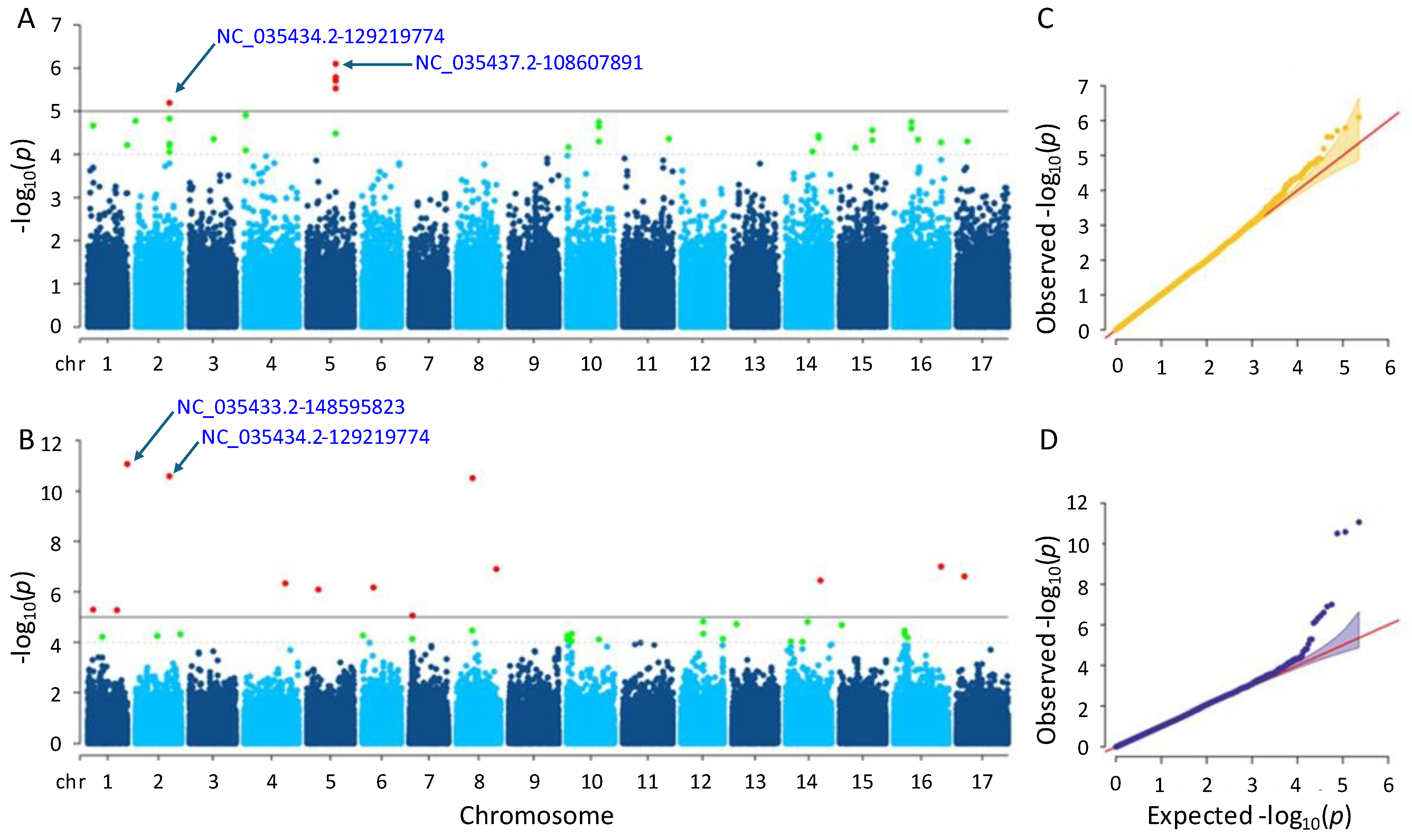 Genes 15 00950 g004