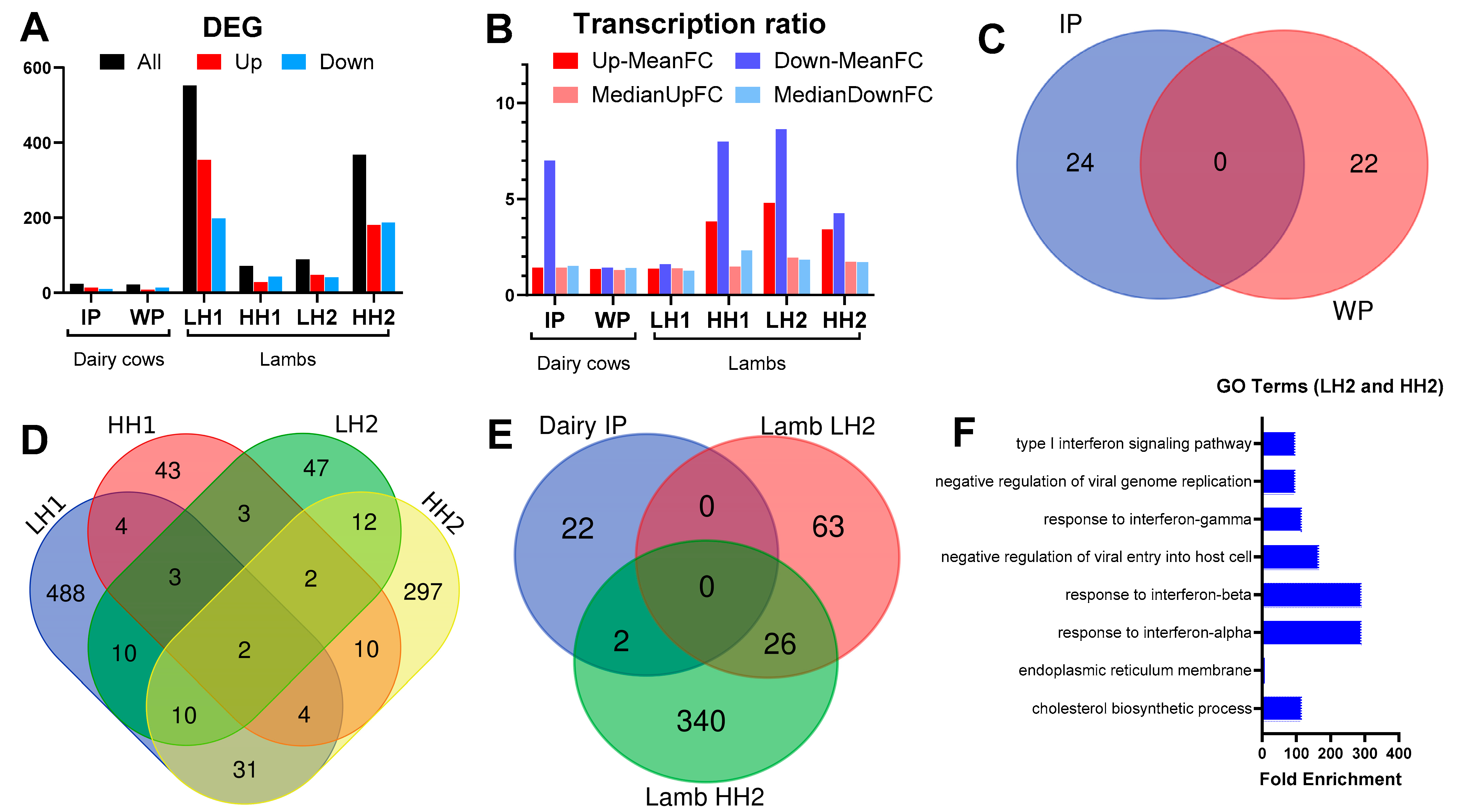 Genes 15 00963 g003
