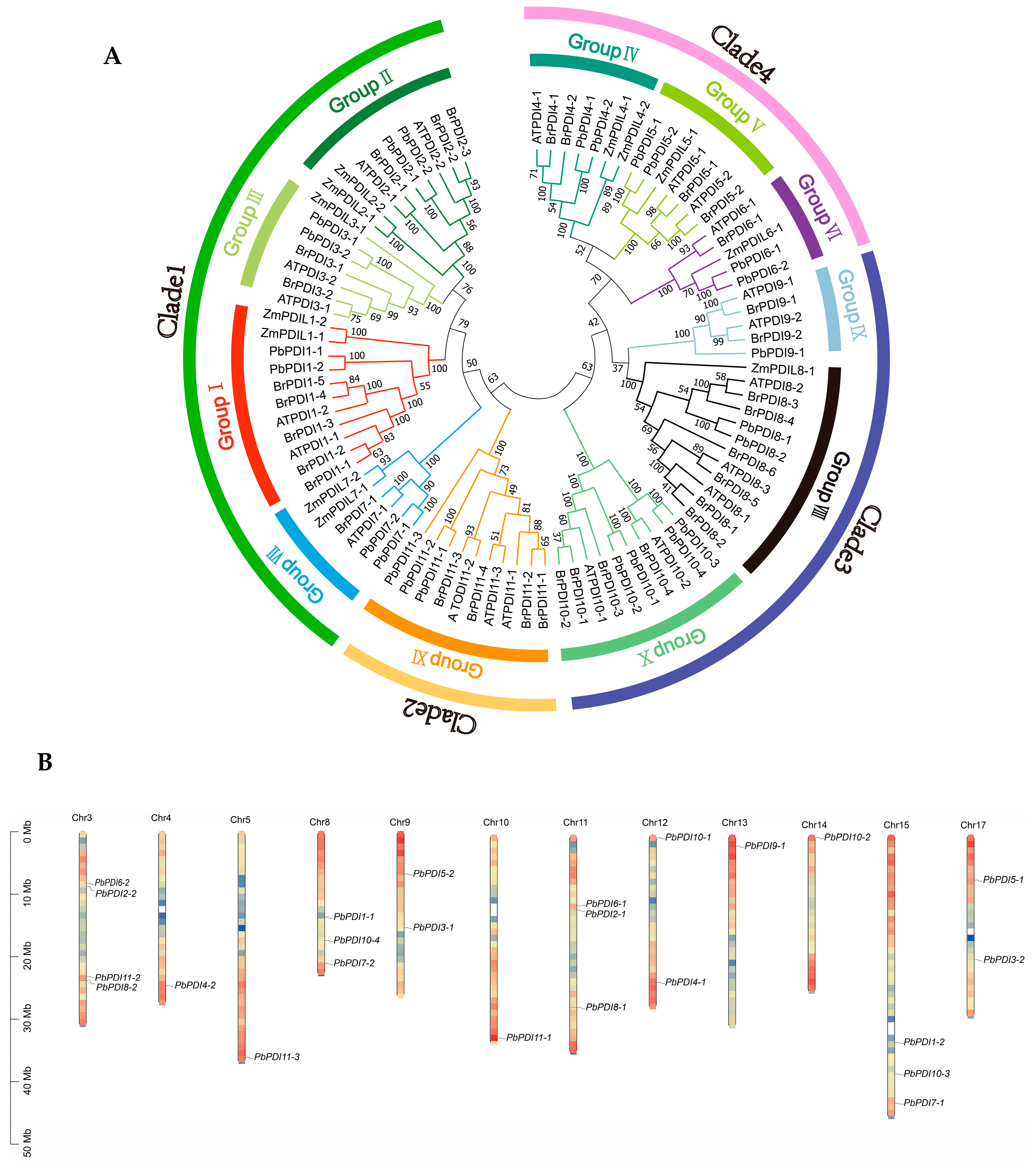 Genes 15 00968 g001a