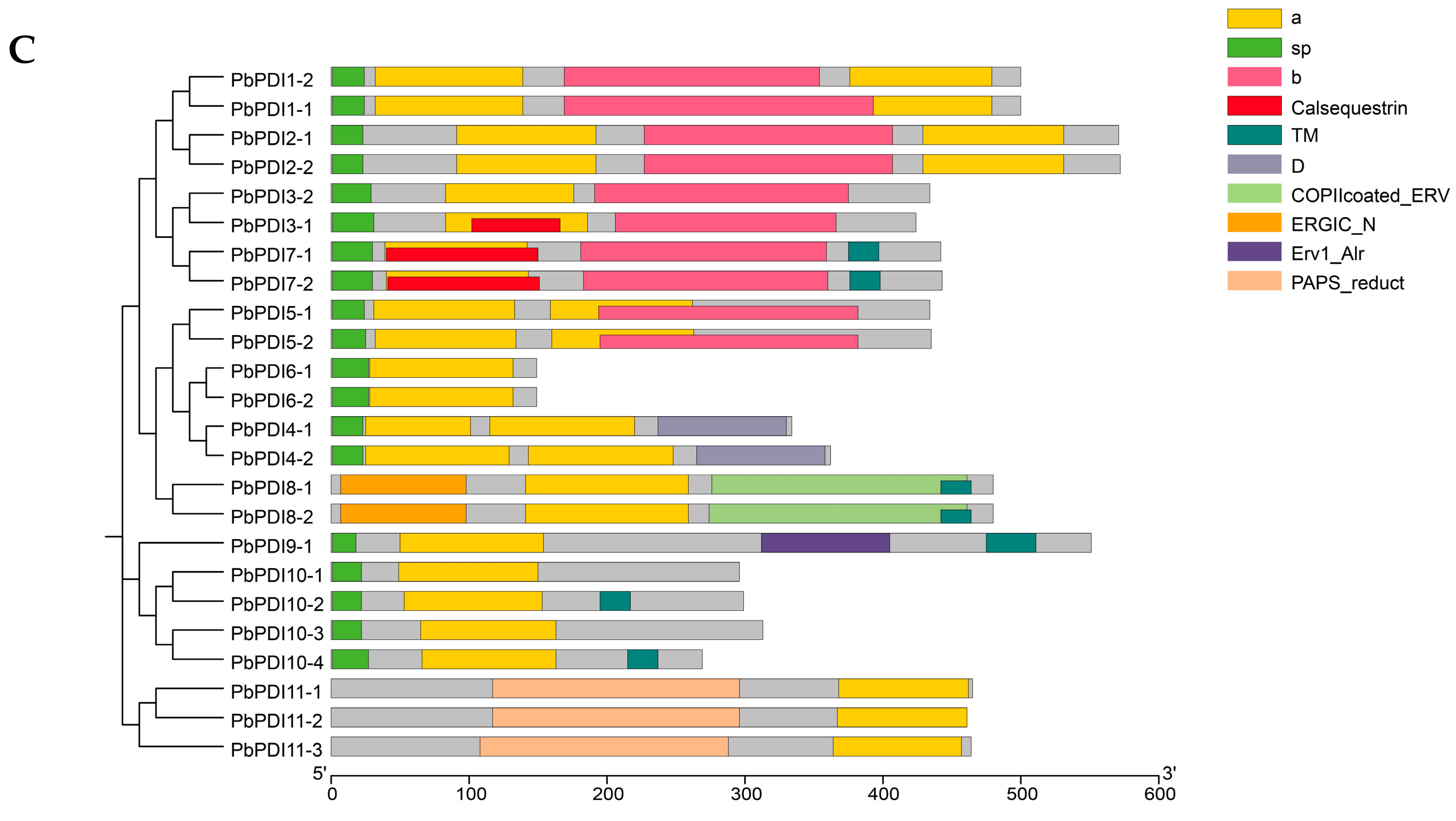 Genes 15 00968 g001b
