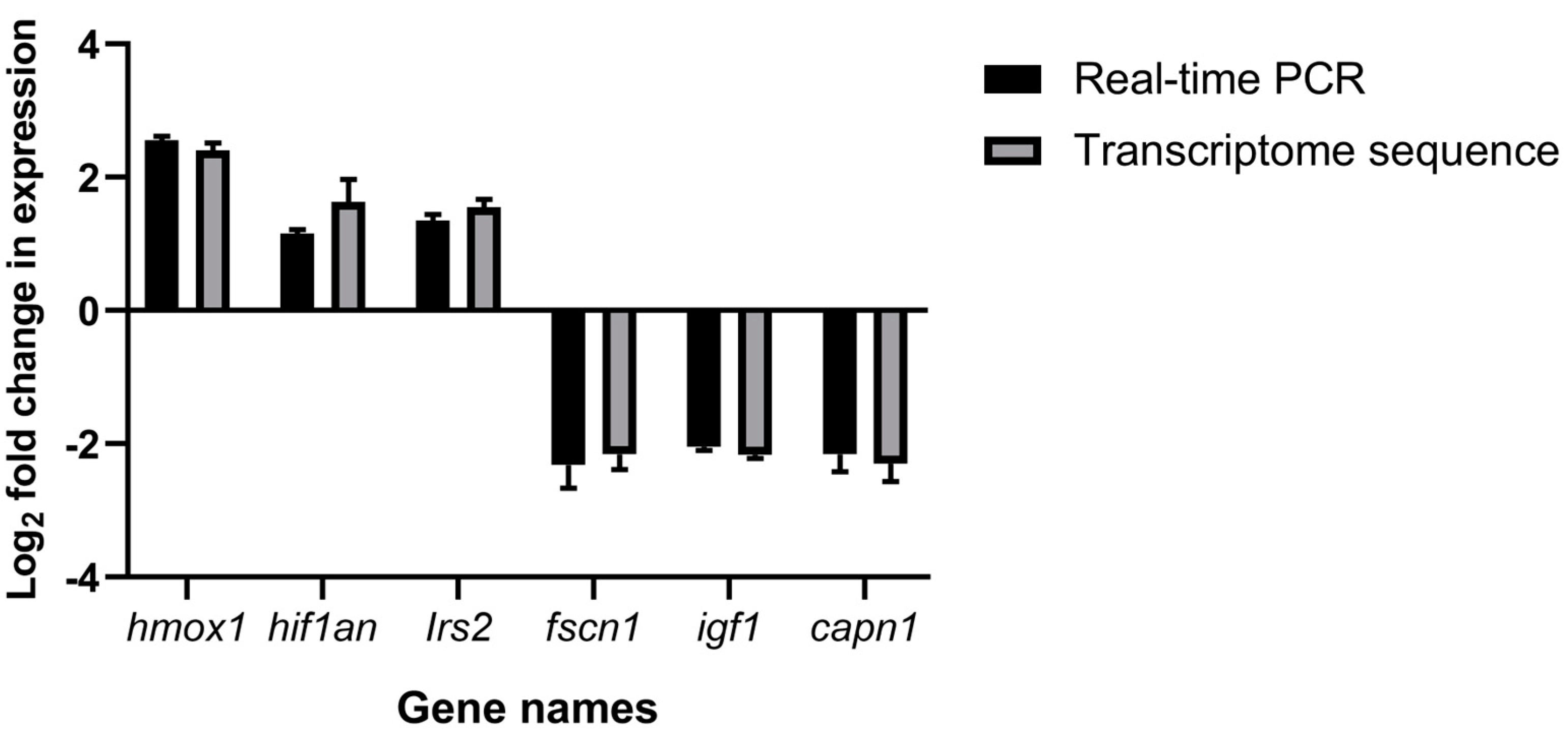 Genes 15 00987 g006