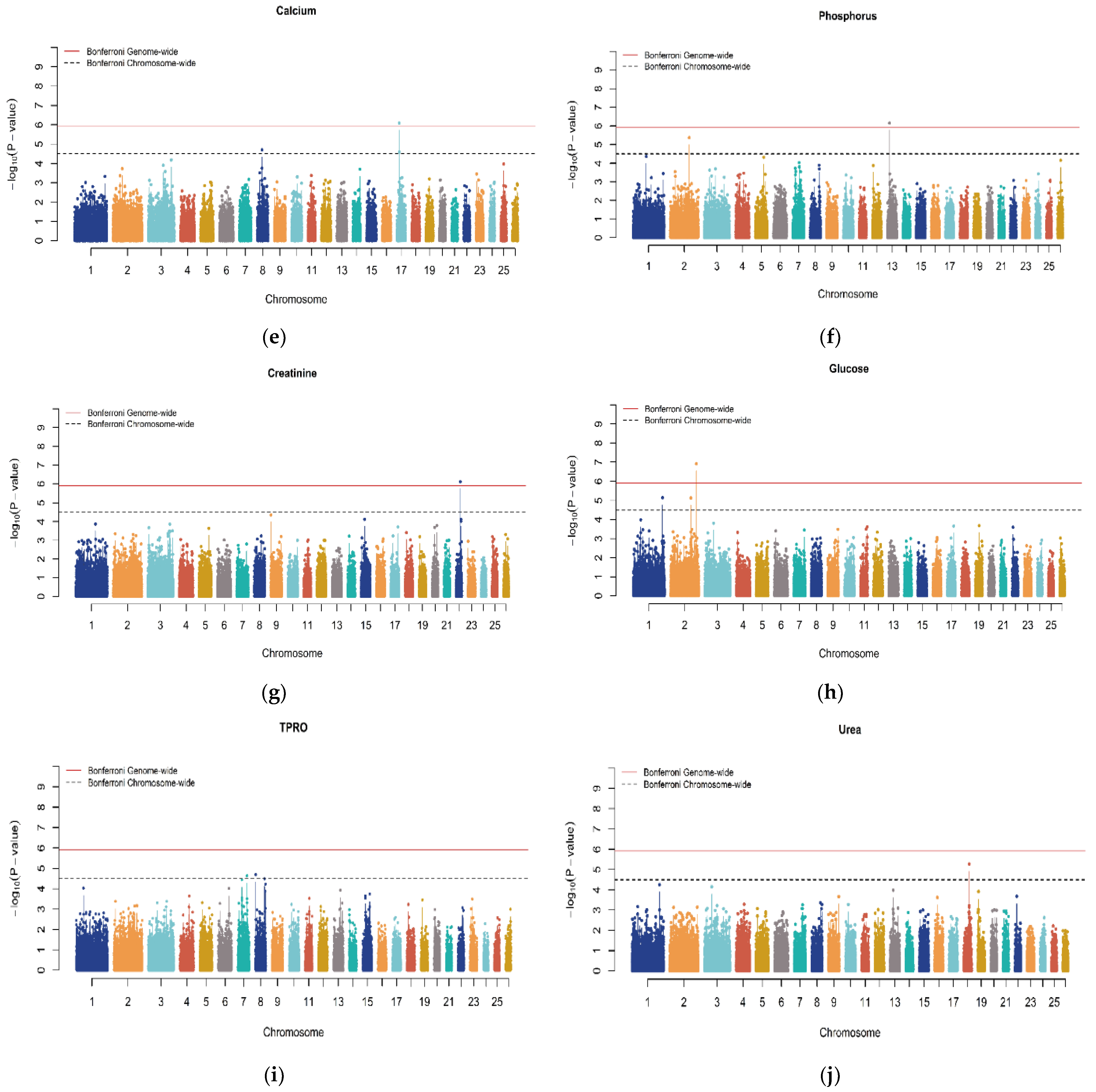 Genes 15 00990 g001b