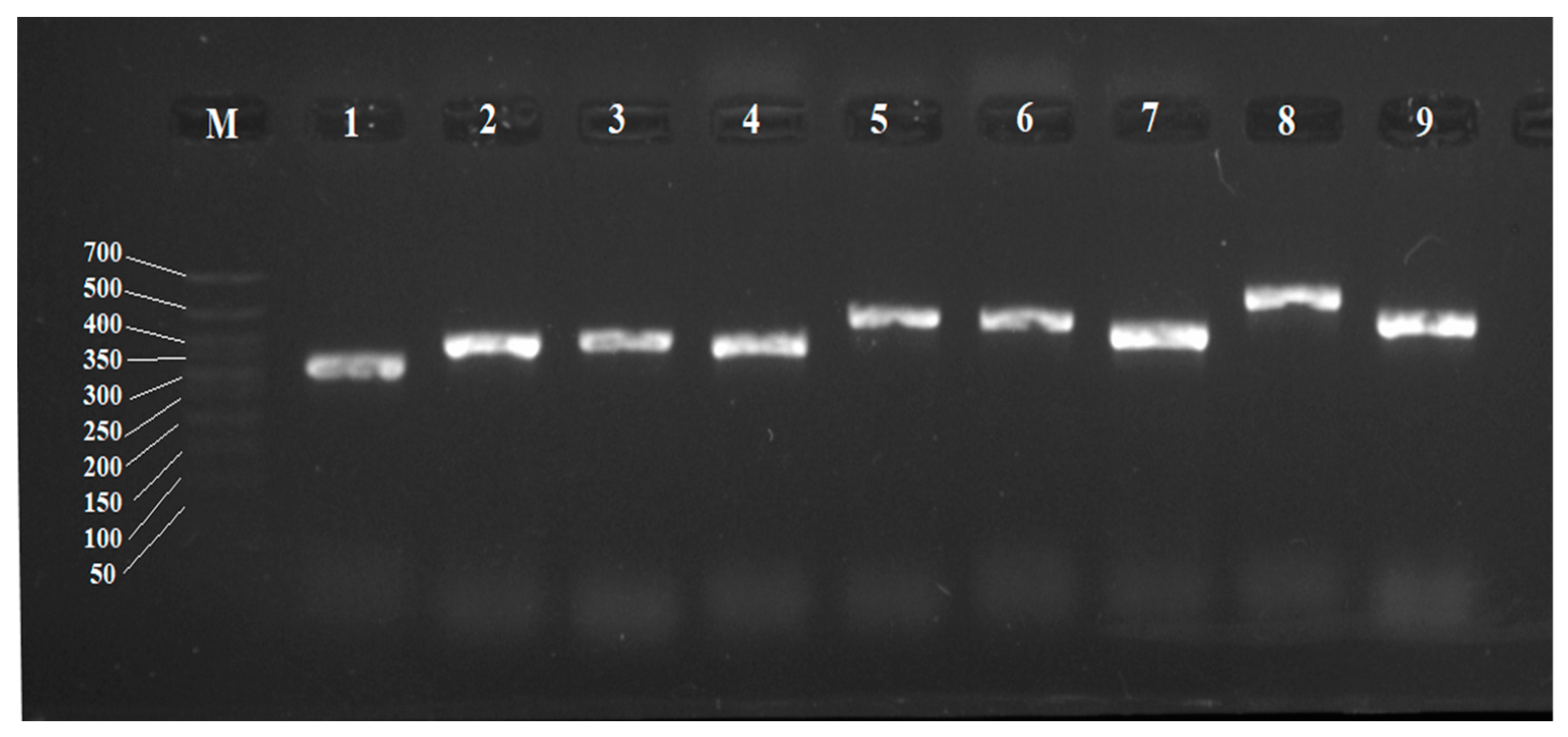 Genes 15 00992 g004