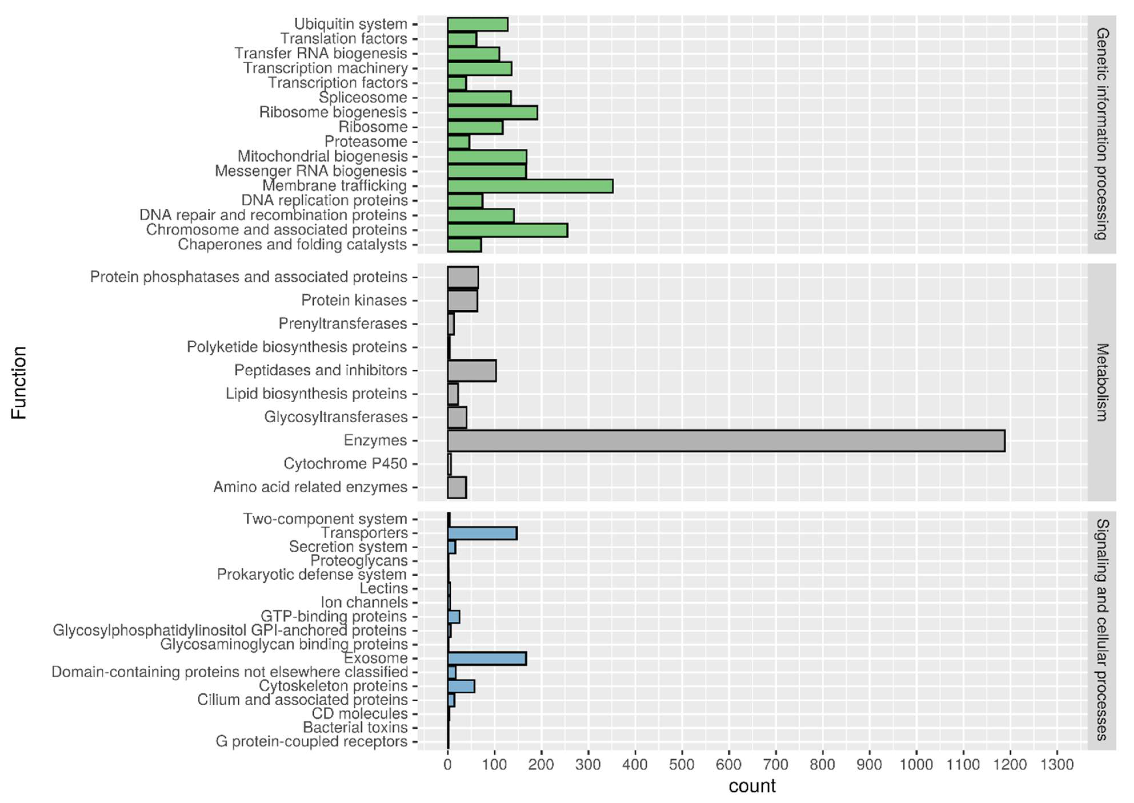 Genes 15 00993 g001 Genes 15 00993 g001
