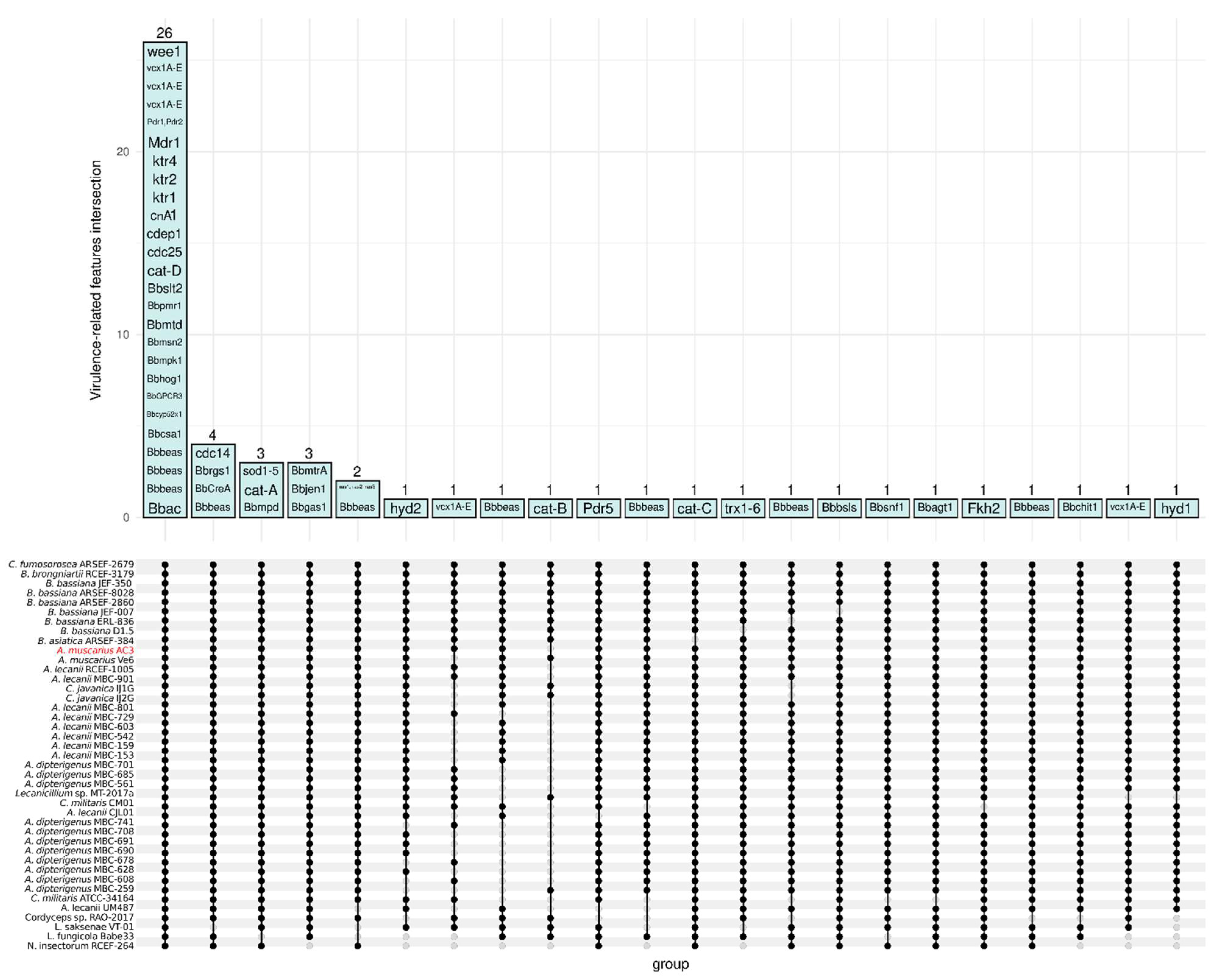Genes 15 00993 g006 Genes 15 00993 g006