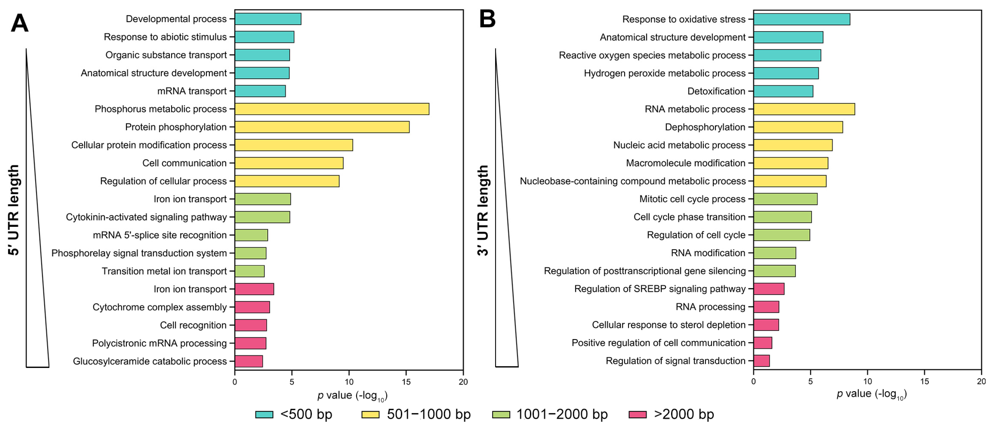 Genes 15 00994 g002