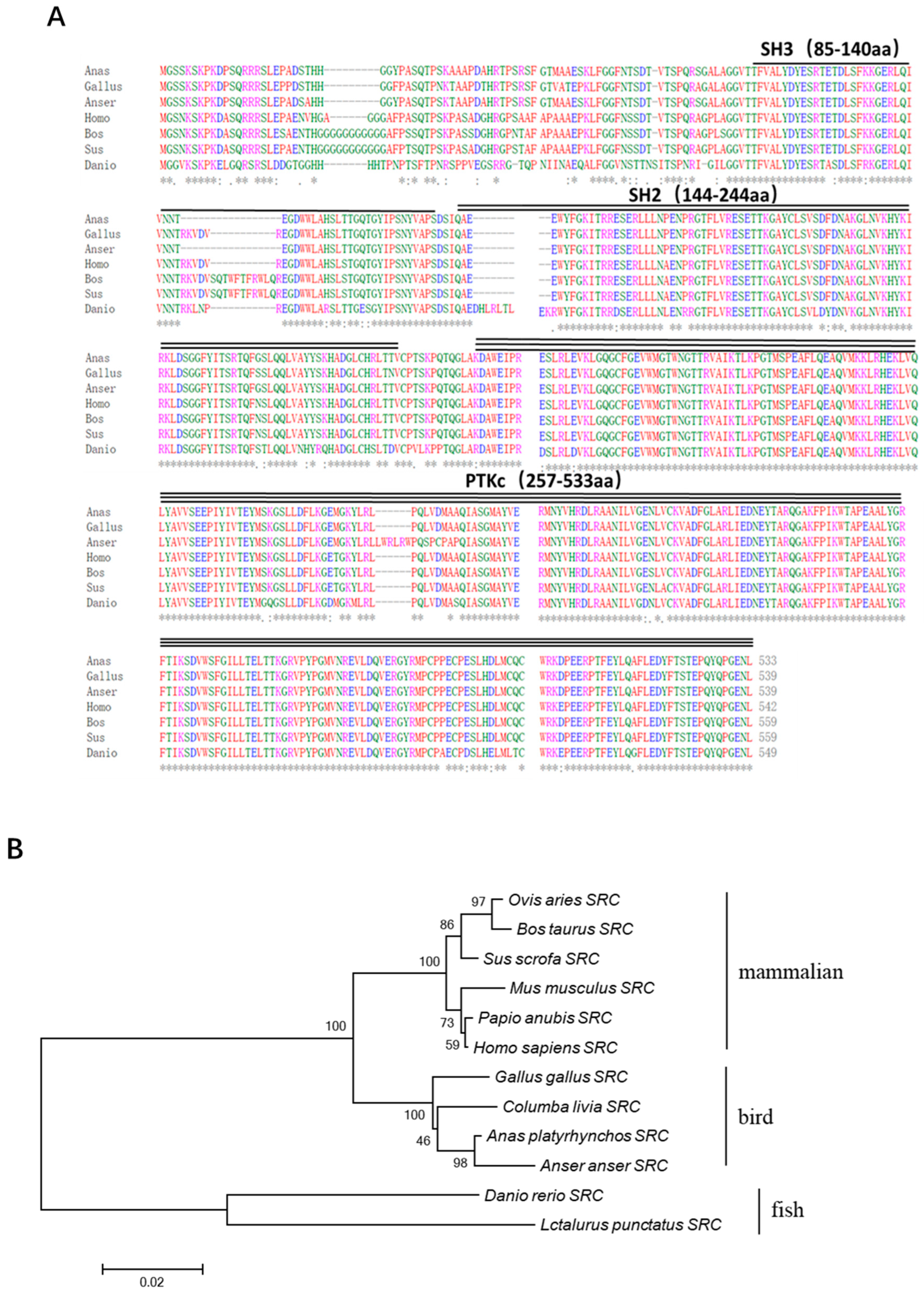 Genes 15 01044 g001 Genes 15 01044 g001