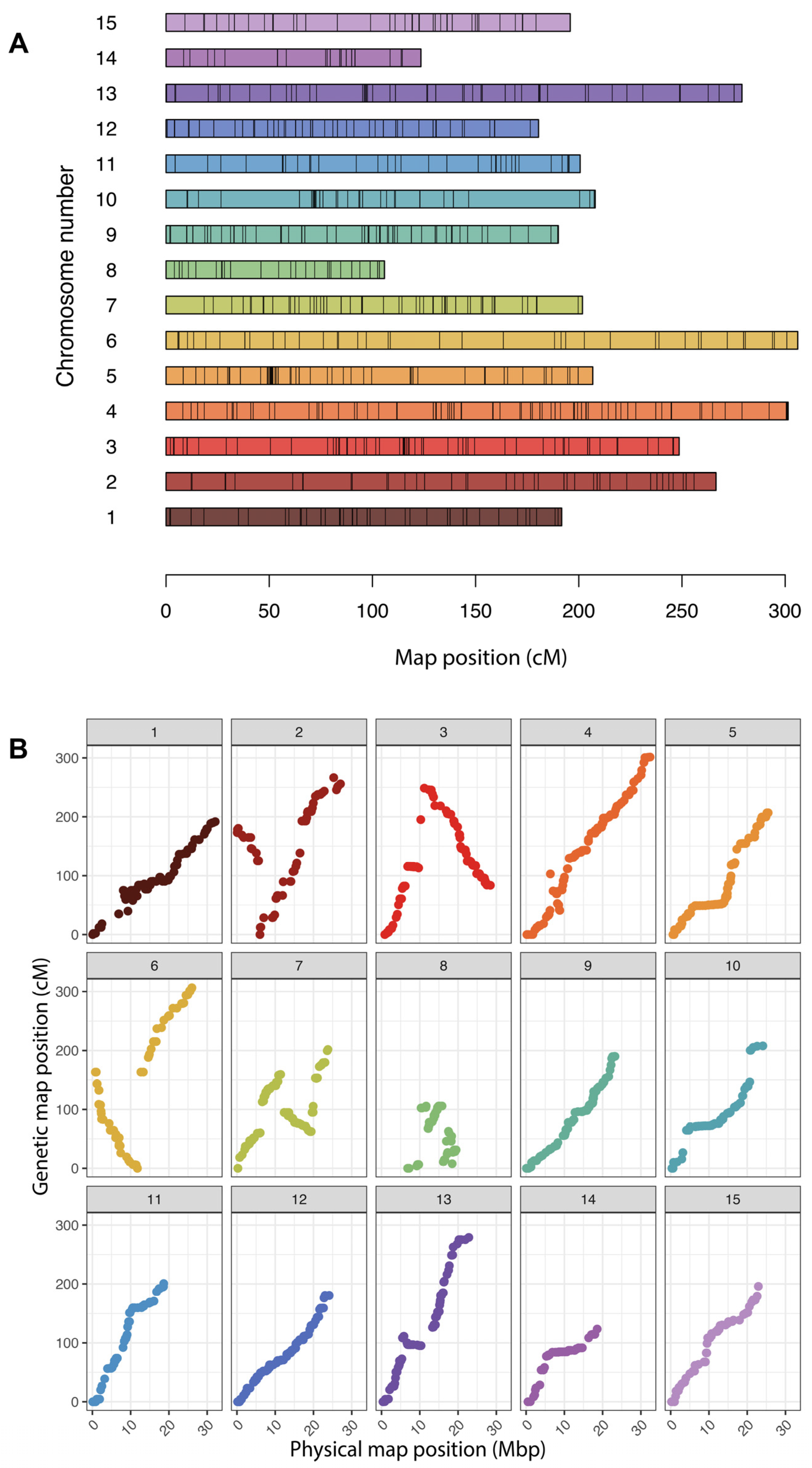 Genes 15 01047 g004