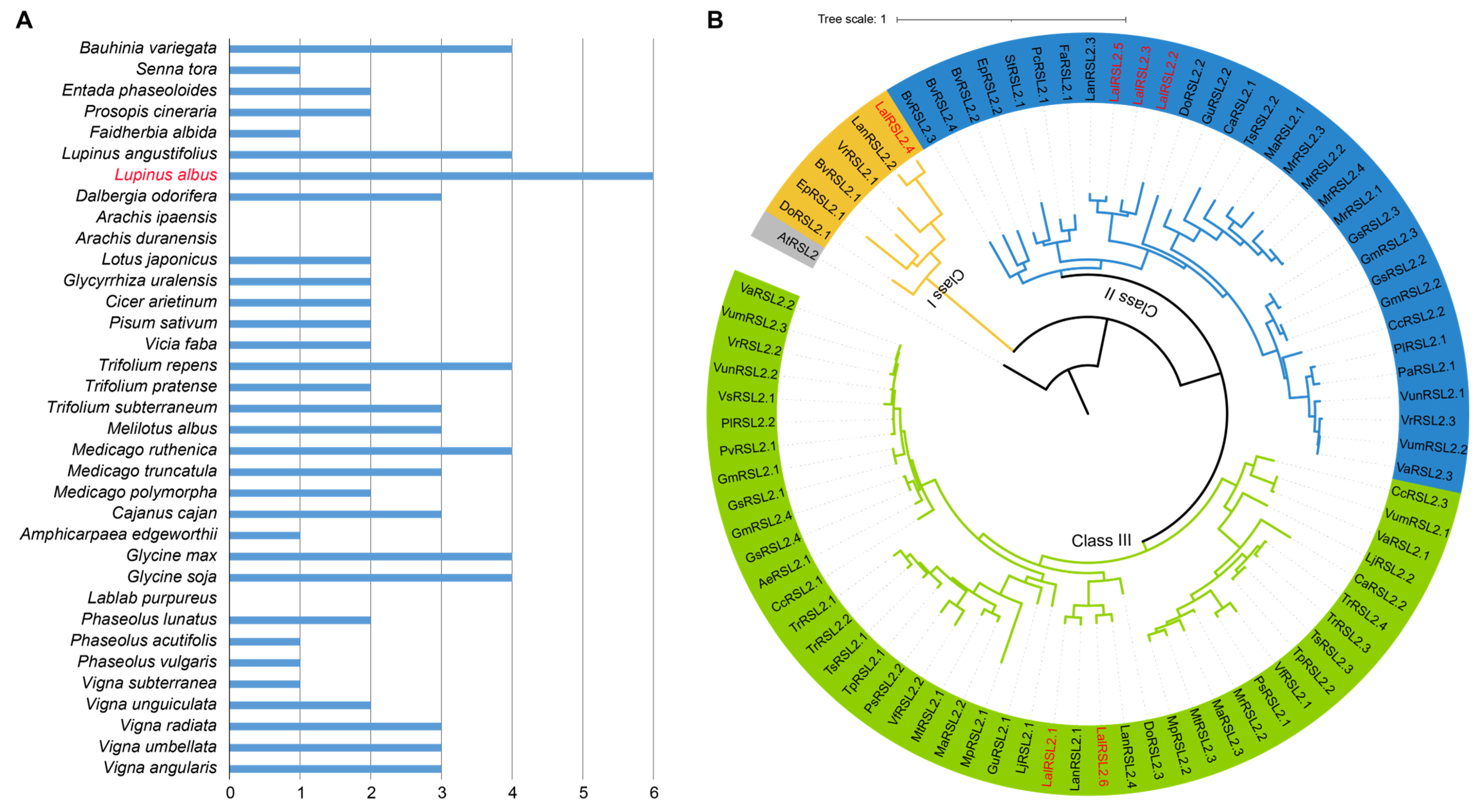Genes 15 01049 g002