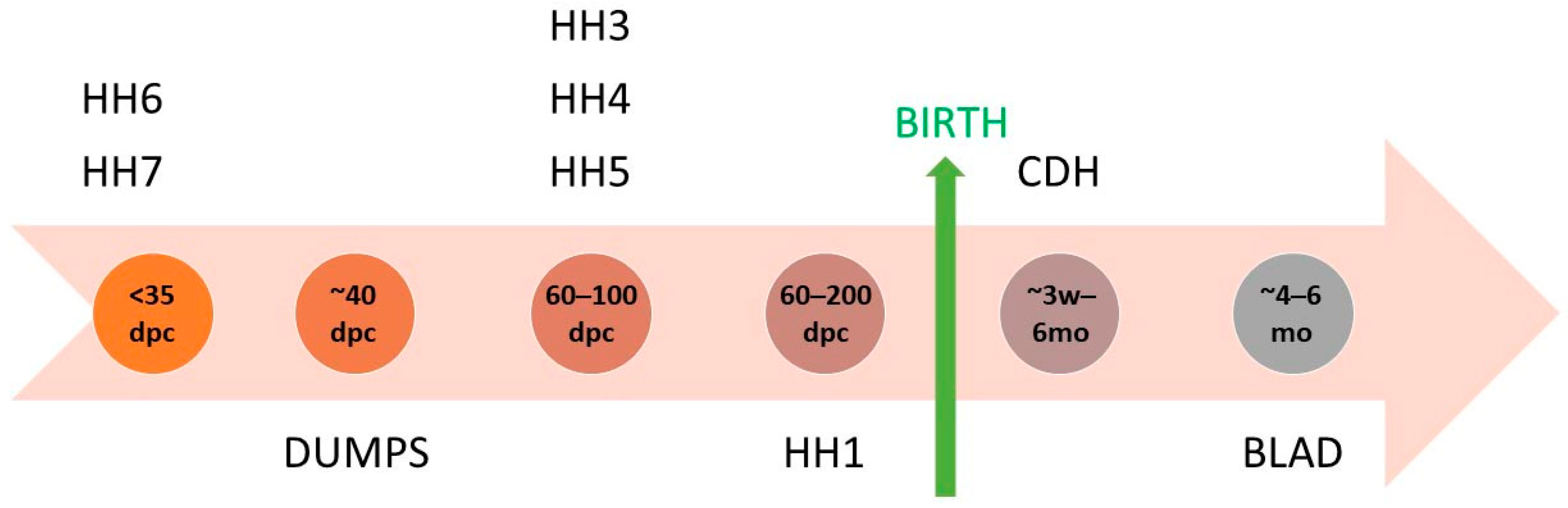 Genes 15 01052 g002 Genes 15 01052 g002