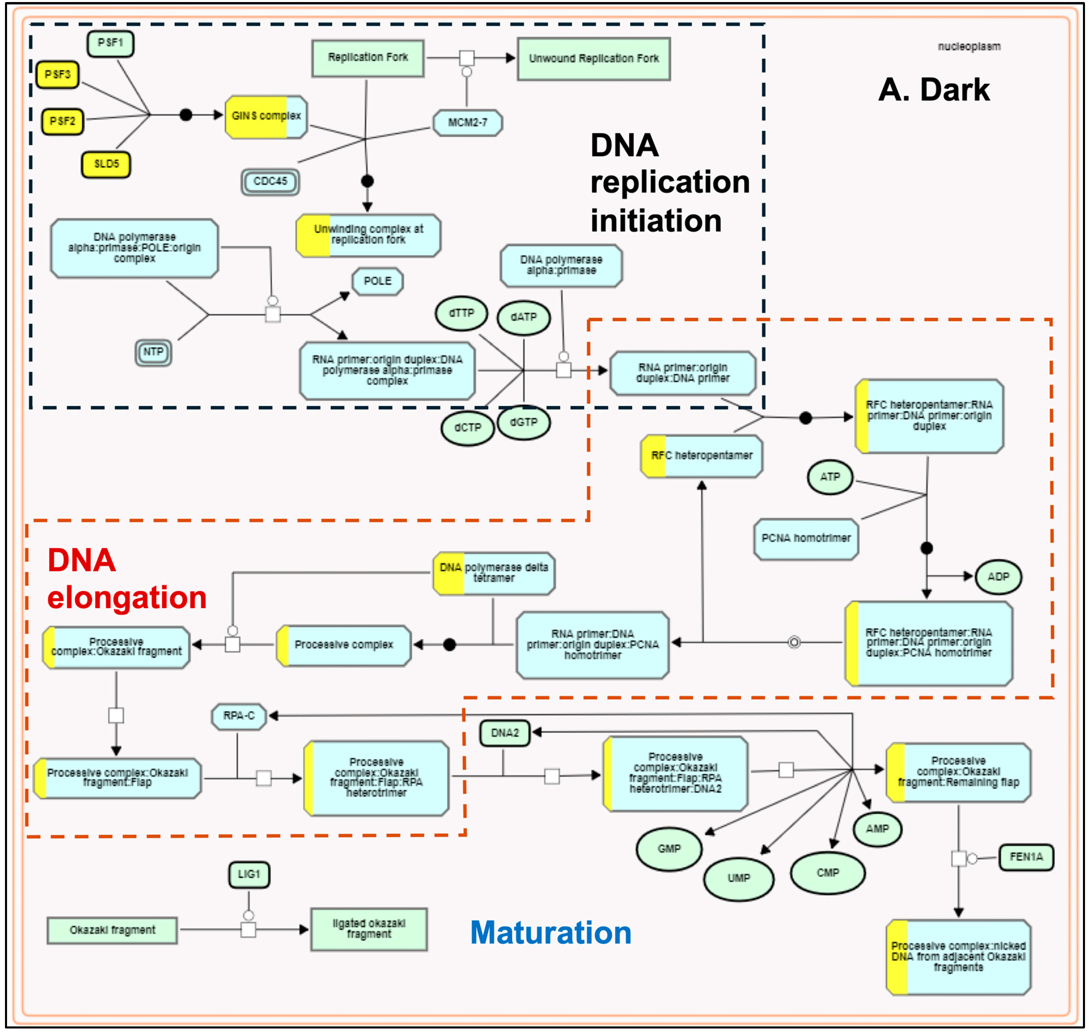 Genes 15 01072 g005a