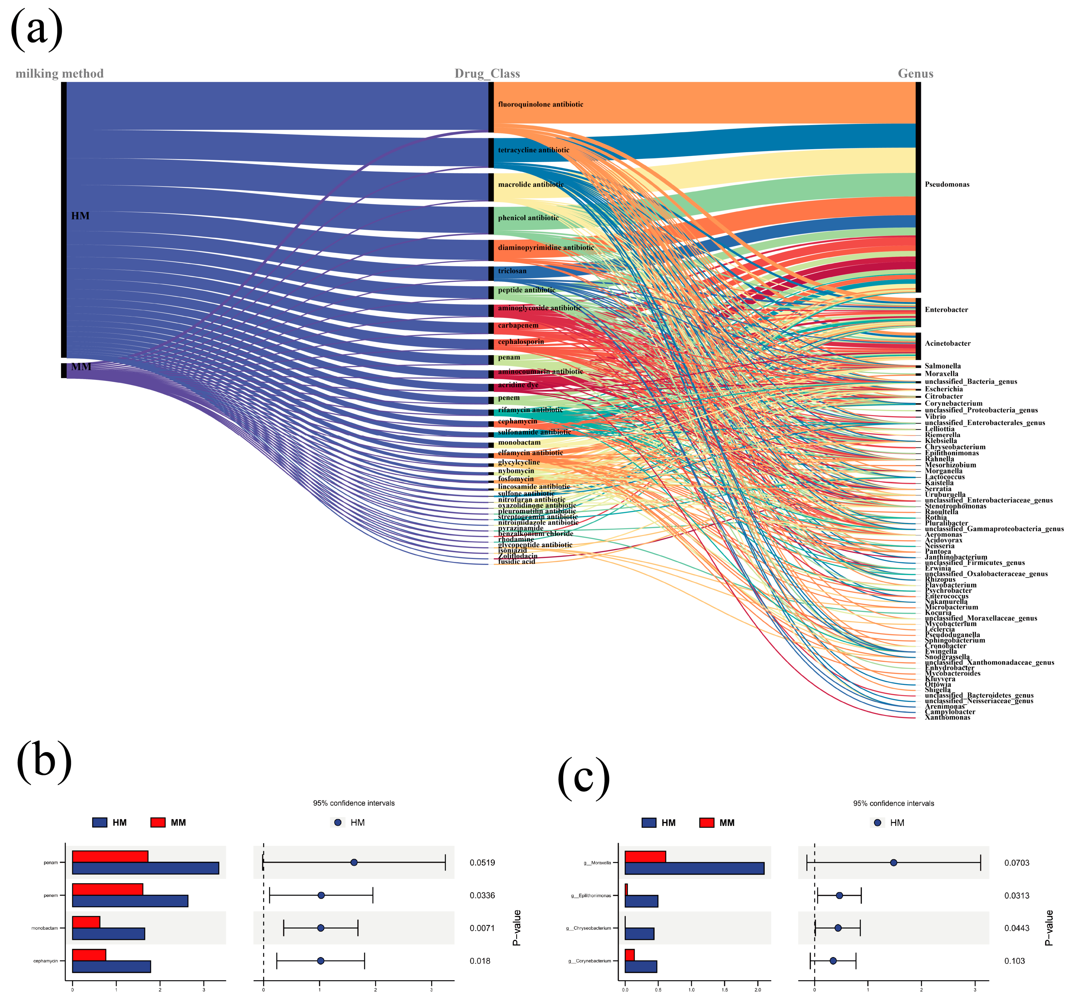 Genes 15 01081 g005