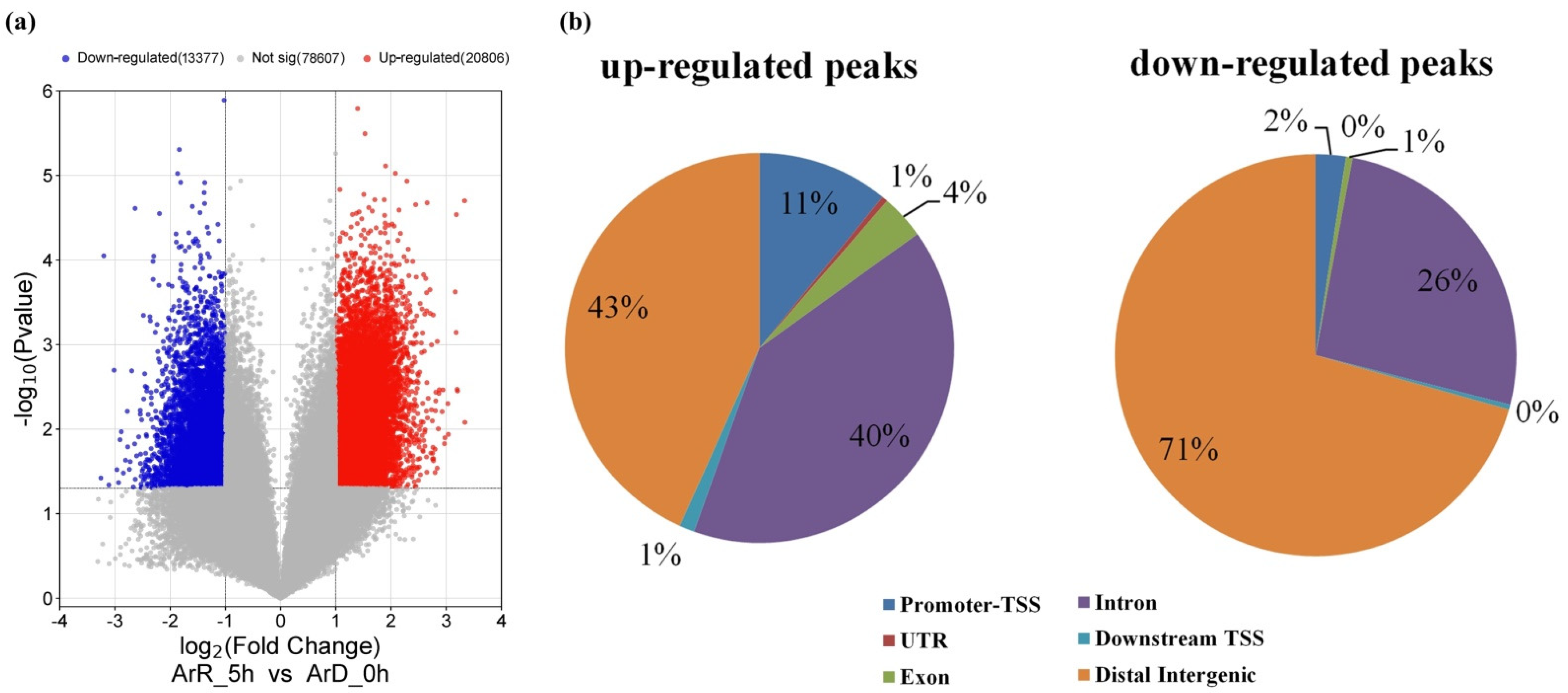 Genes 15 01083 g002