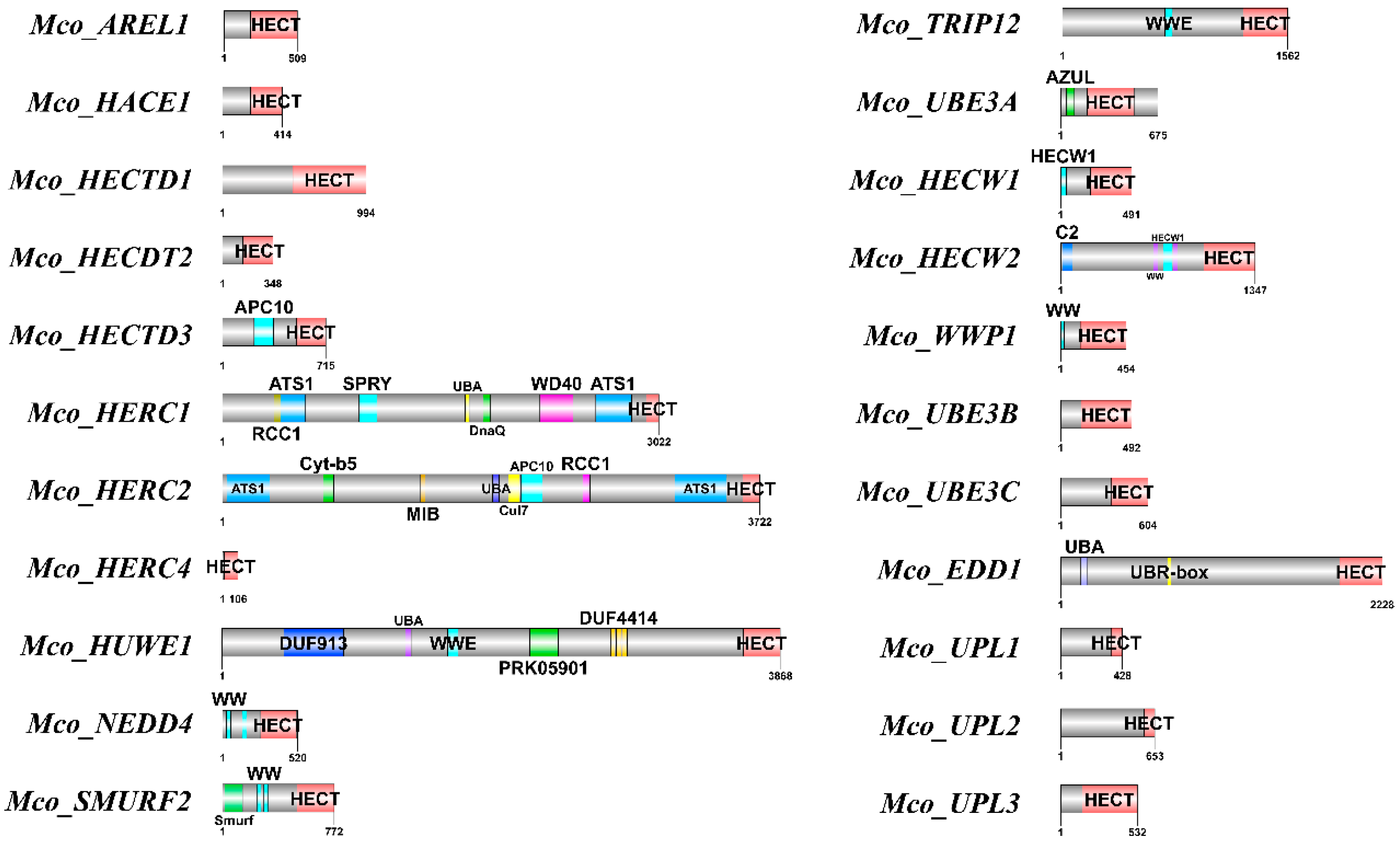 Genome-Wide Identification, Characterization, and Transcriptional ...