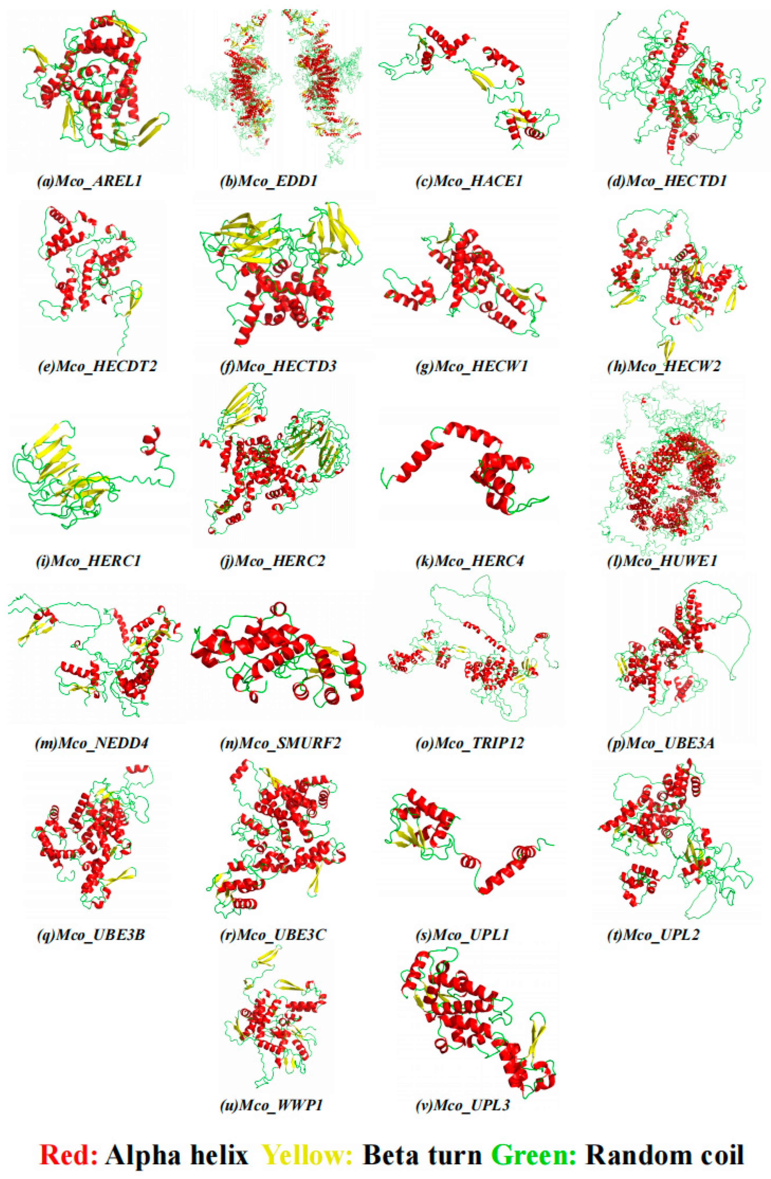Genome-Wide Identification, Characterization, and Transcriptional ...