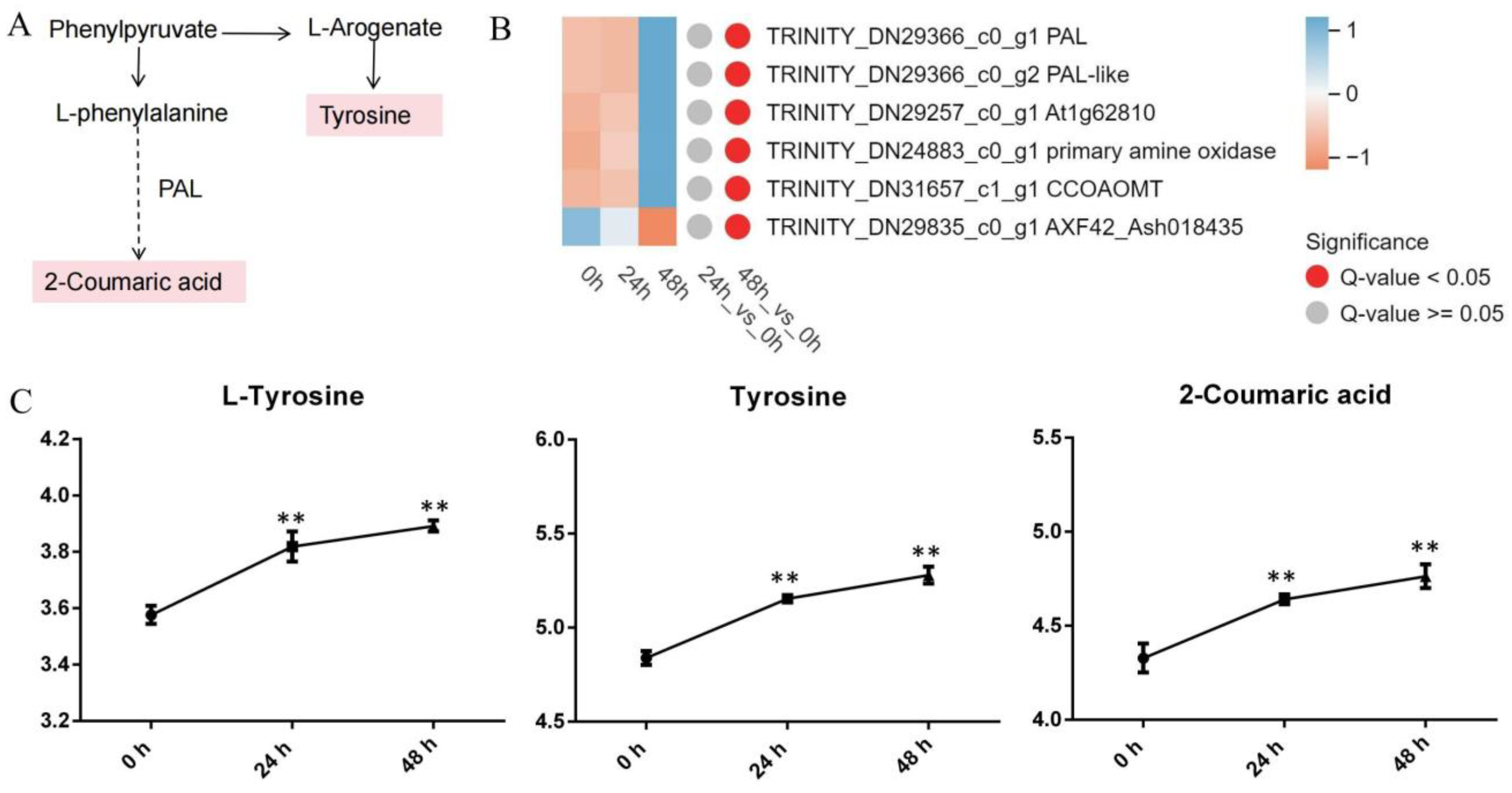 Genes 15 01124 g005