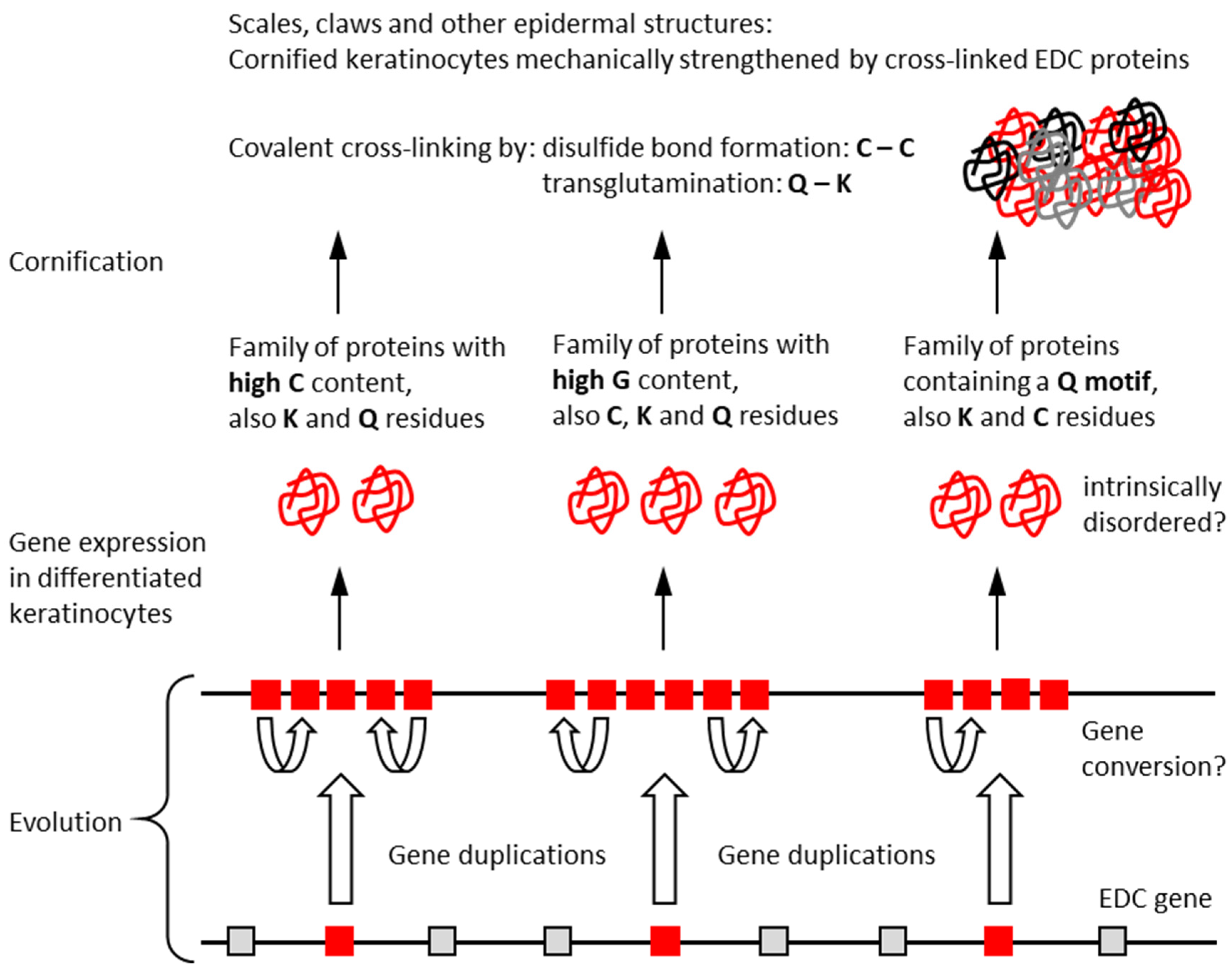 Genes 15 01136 g007