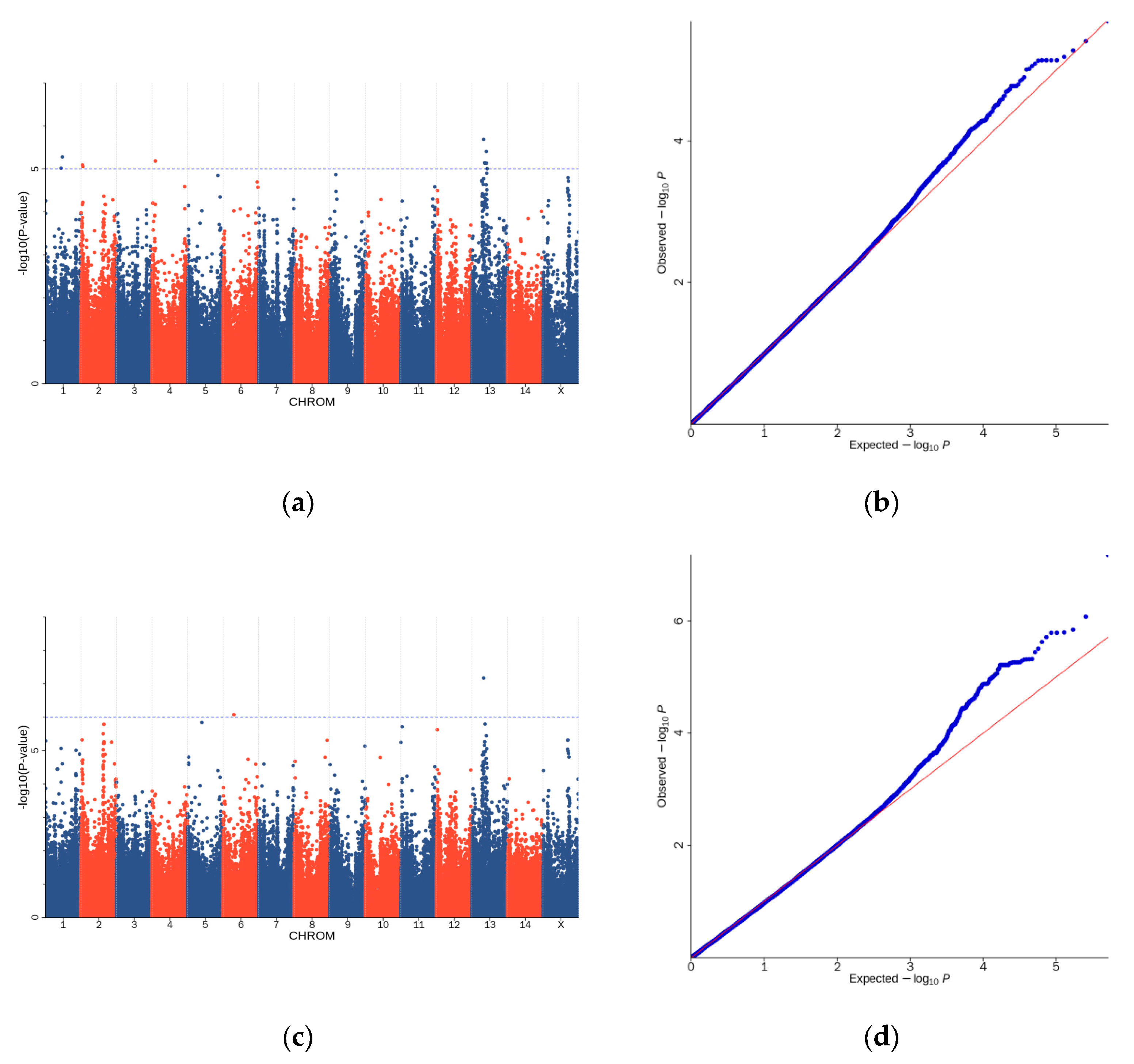 Genes 15 01142 g004a