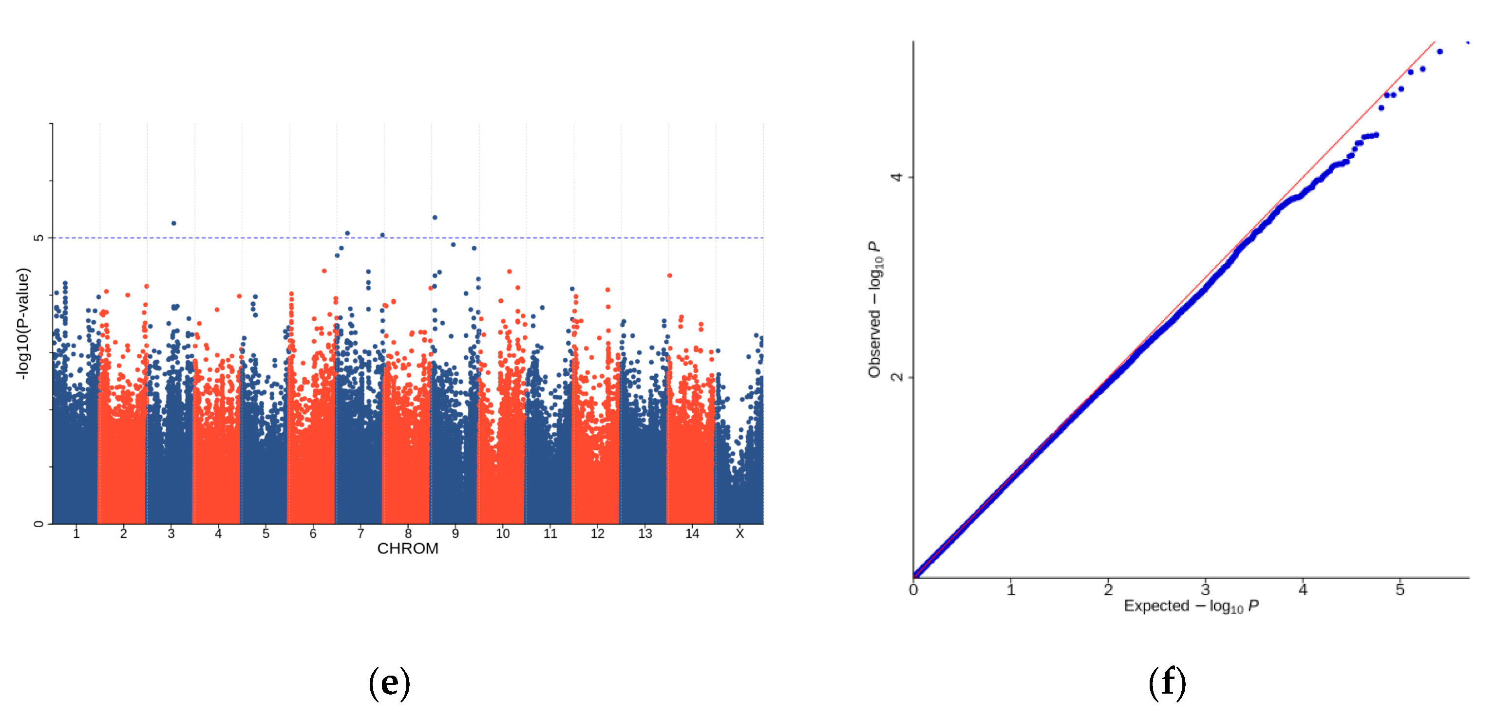 Genes 15 01142 g004b