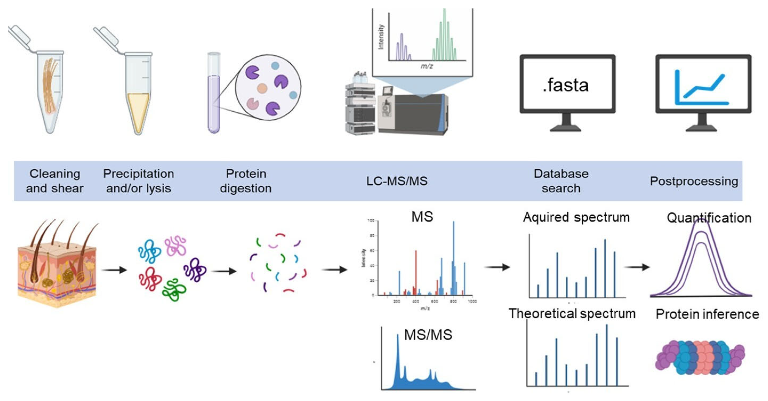 Genes 15 01154 g001 Genes 15 01154 g001