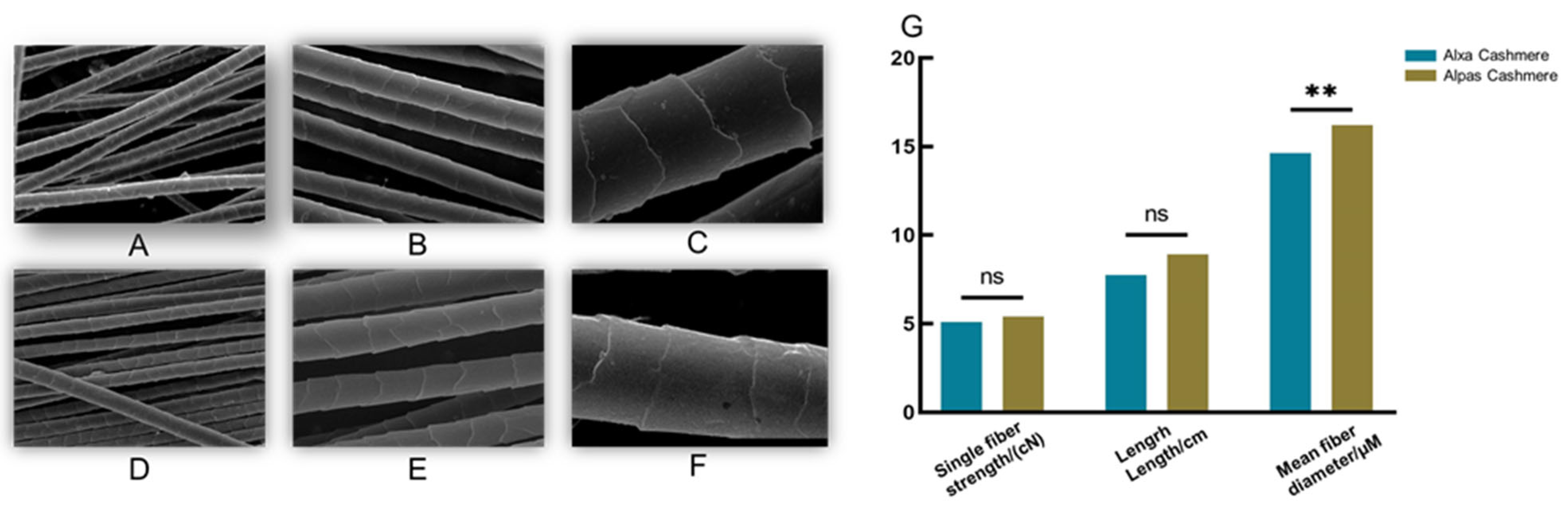 Genes 15 01154 g002 Genes 15 01154 g002