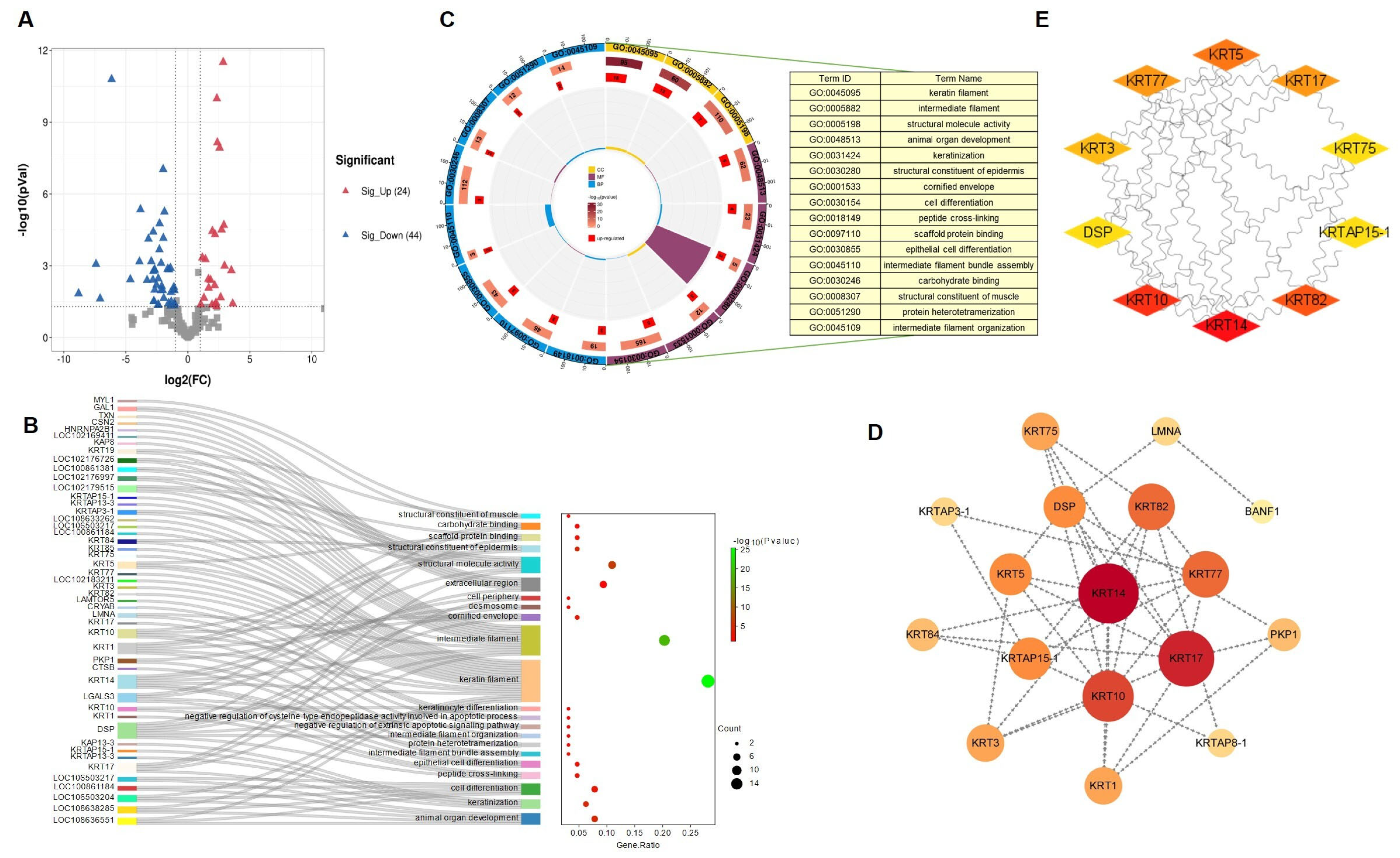 Genes 15 01154 g004 Genes 15 01154 g004