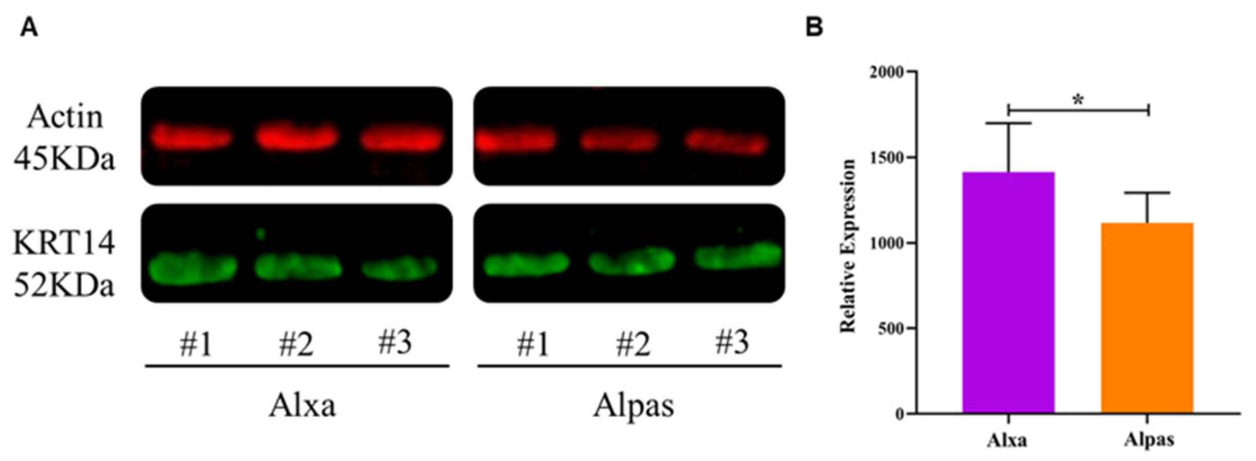Genes 15 01154 g006 Genes 15 01154 g006