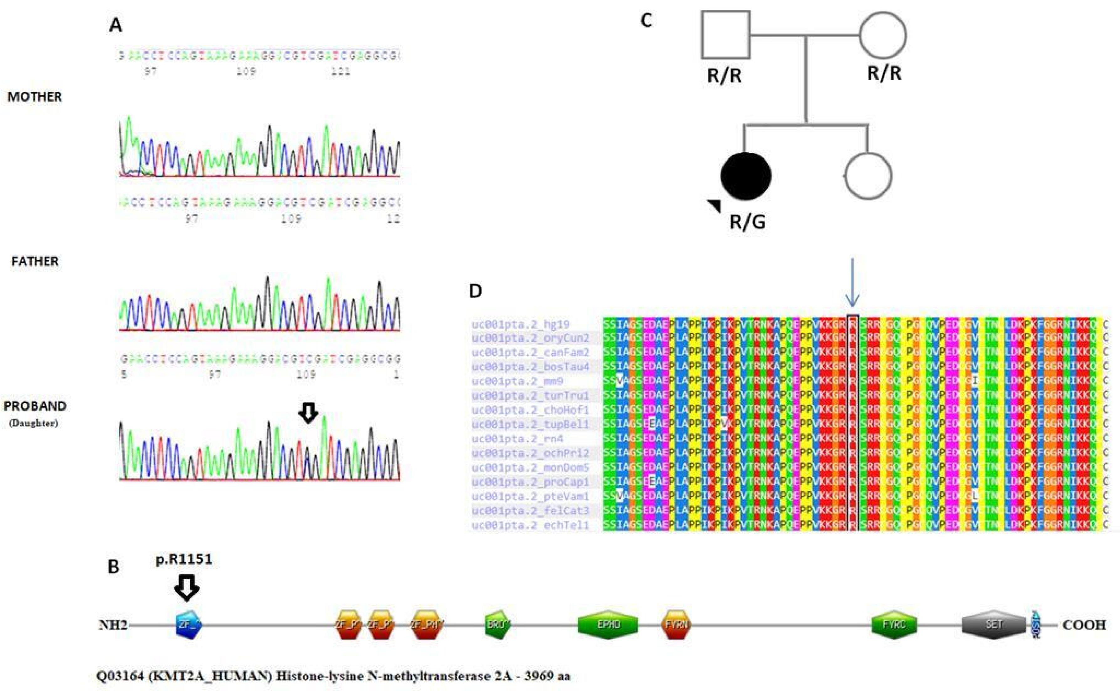 Genes 15 01155 g002
