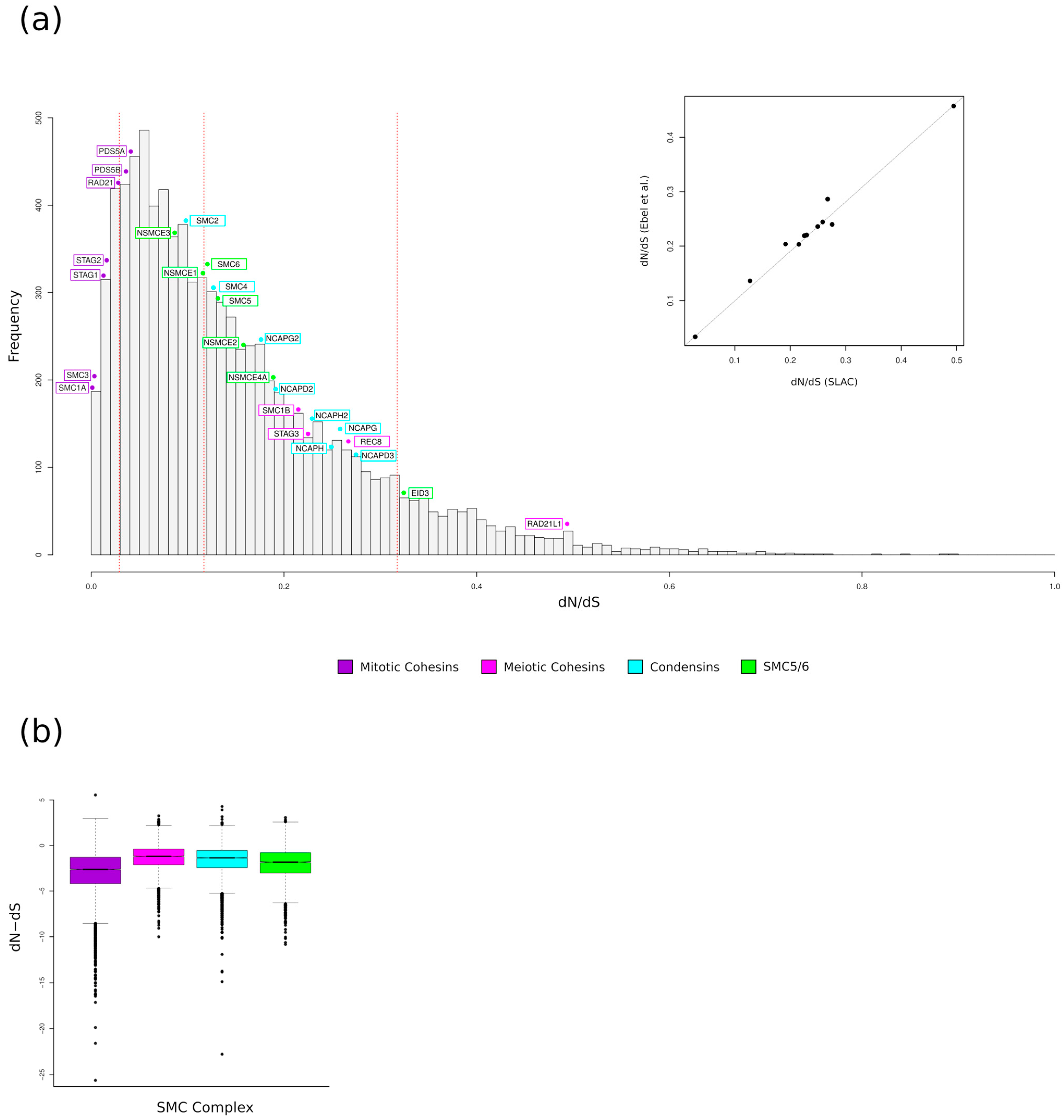 Genes 15 01159 g001