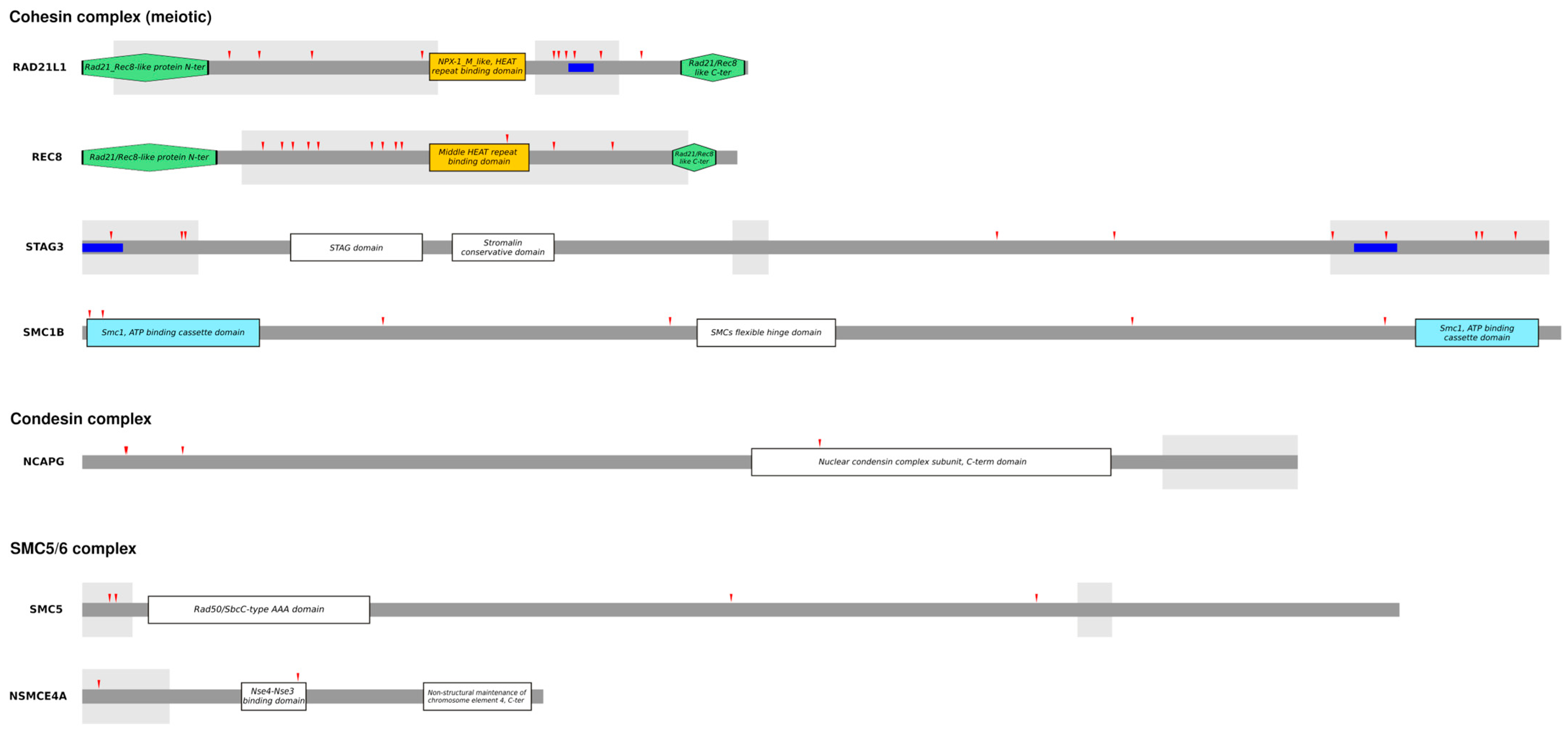 Genes 15 01159 g002