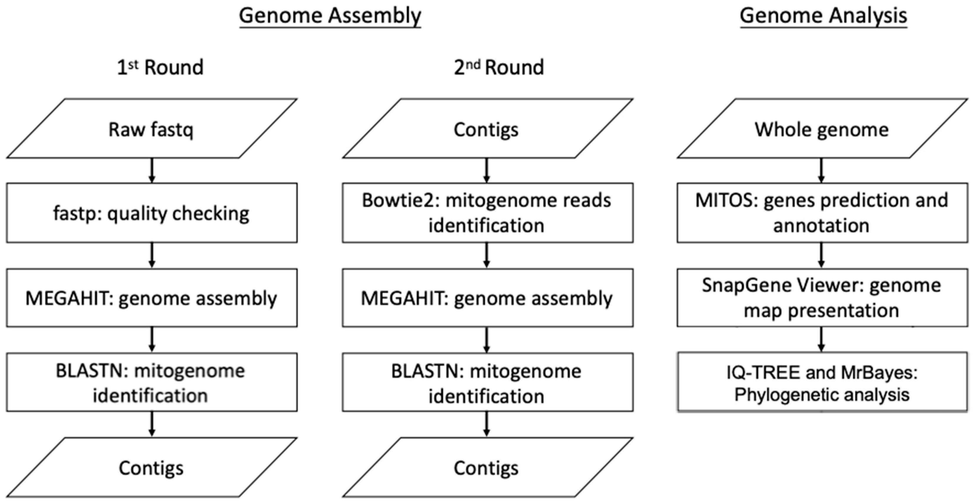 Genes 15 01171 g001