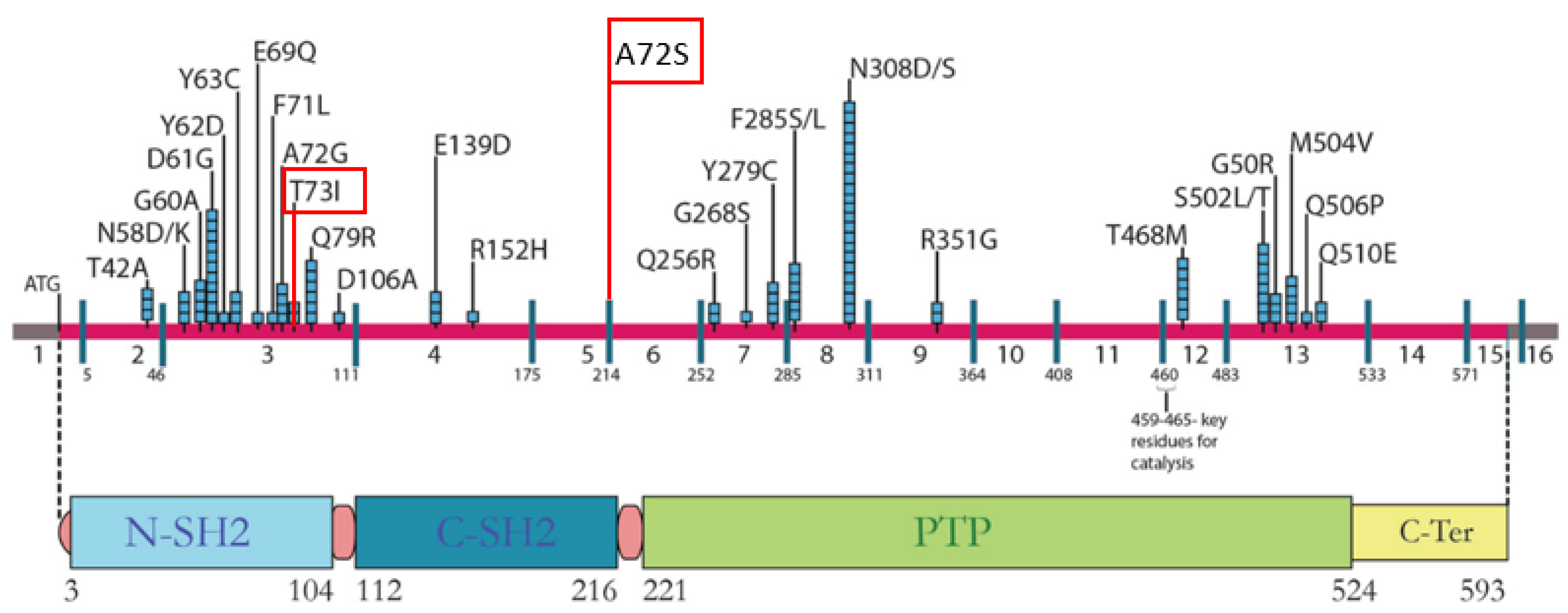 Genes 15 01191 g002