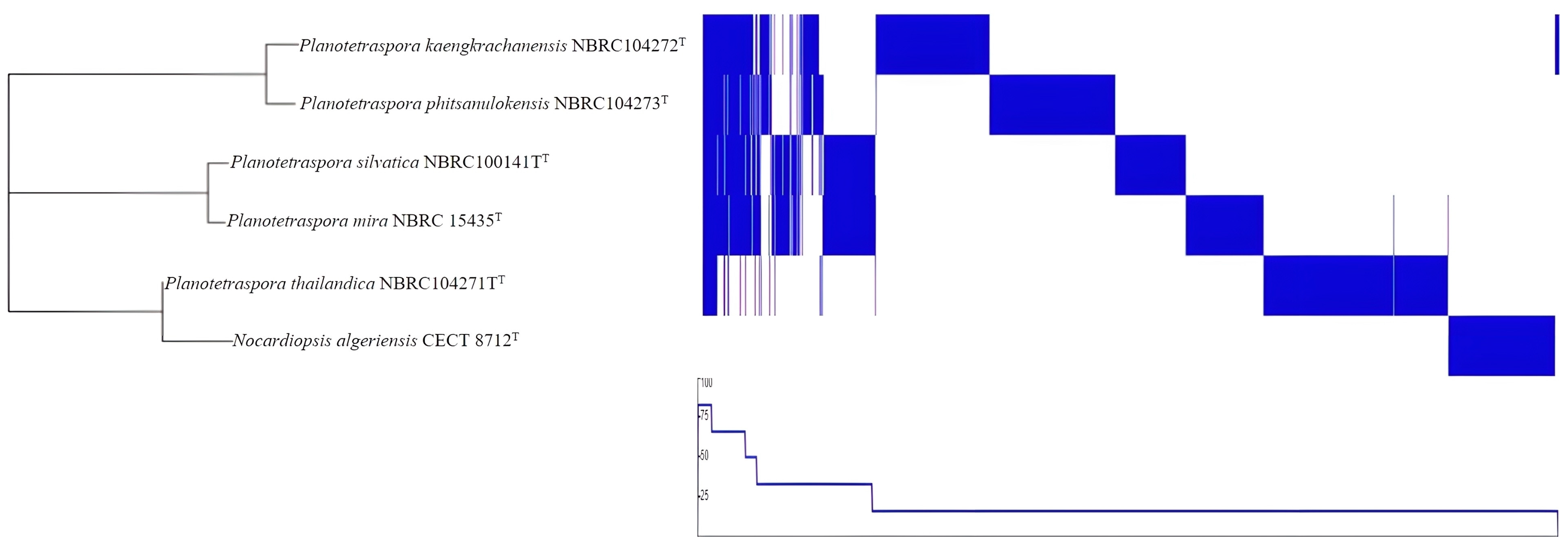 Genes 15 01202 g003 Genes 15 01202 g003