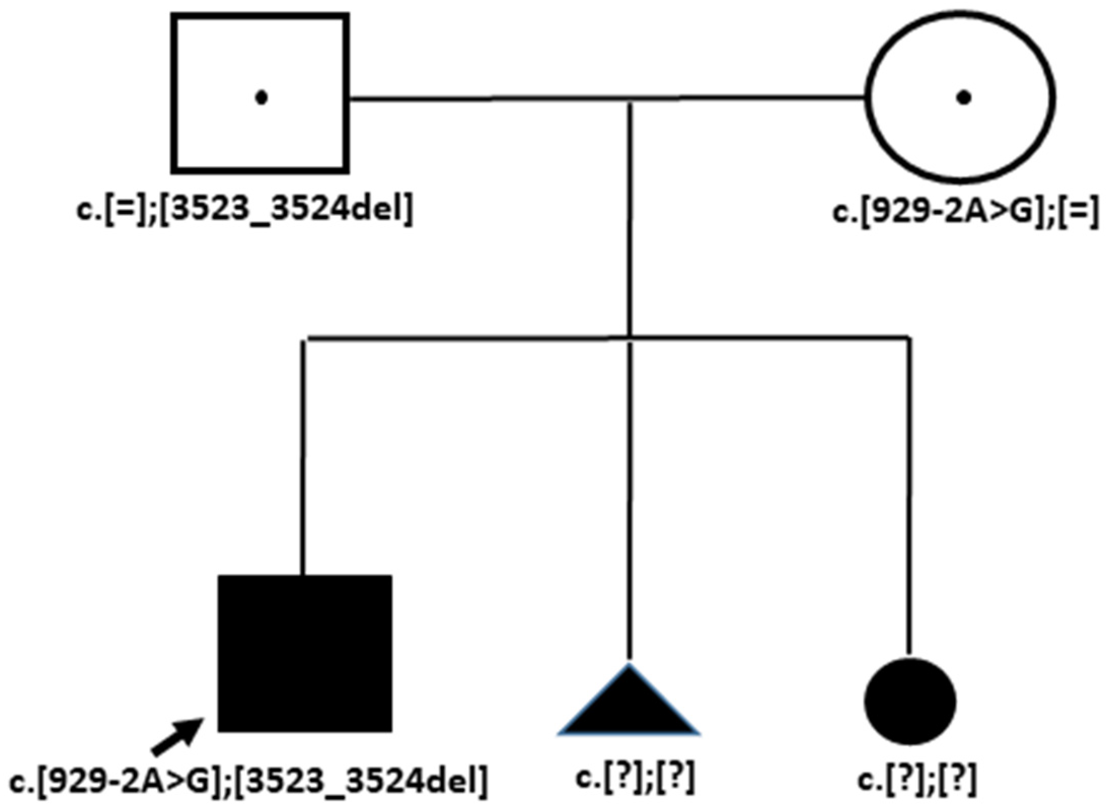 Genes 15 01295 g005
