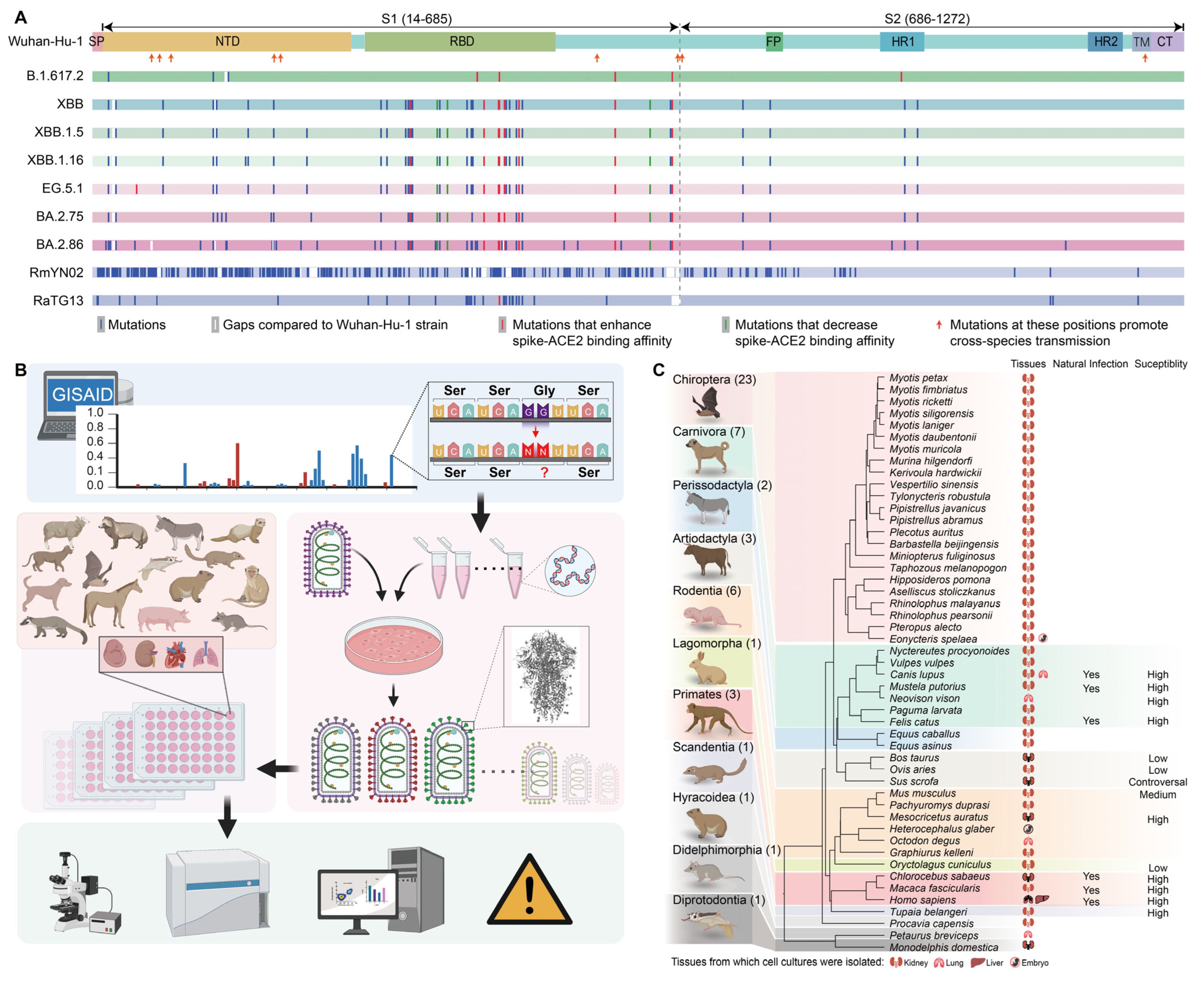 Genes 15 01321 g001